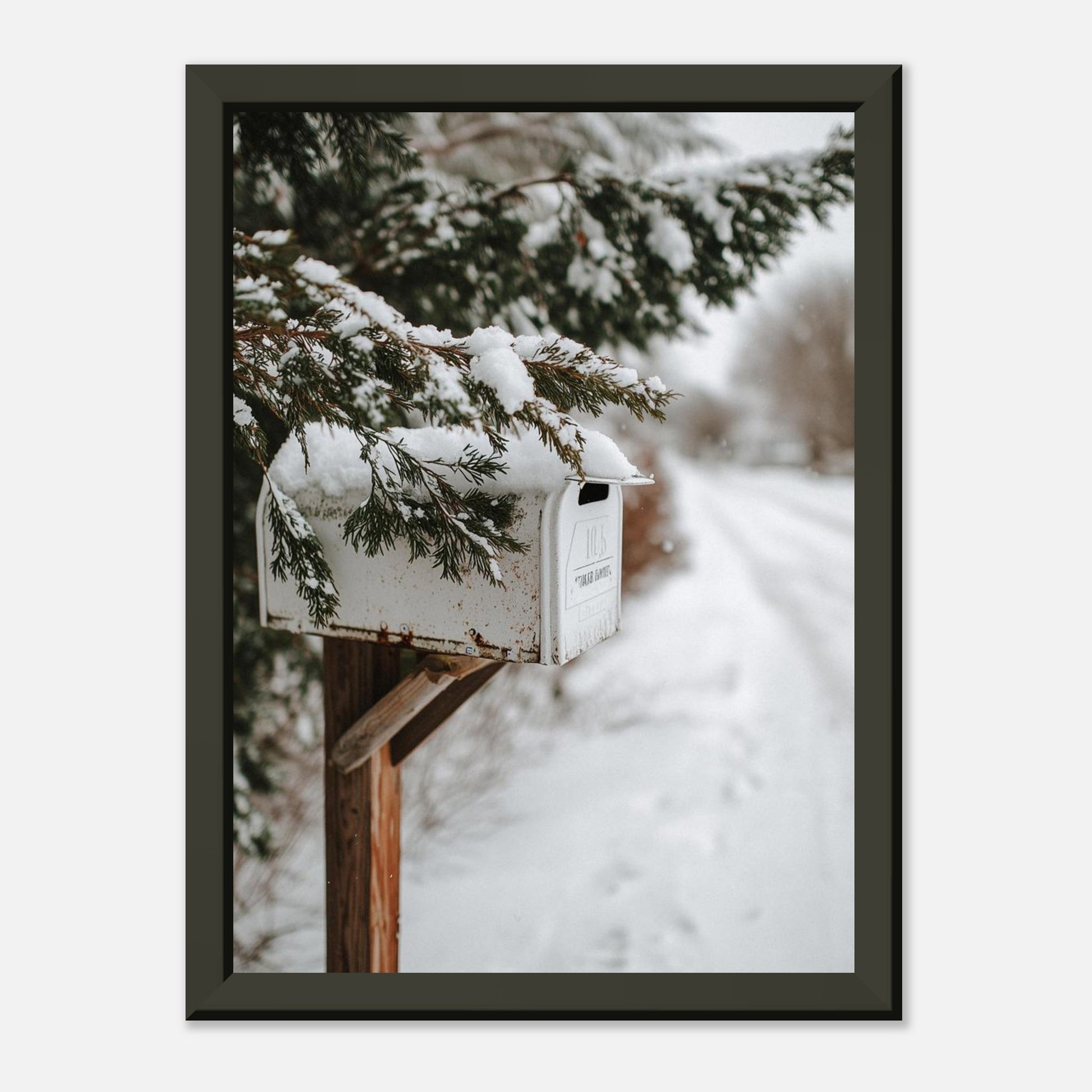 00202586-0438-46ef-90a9-fbe43cd68f55