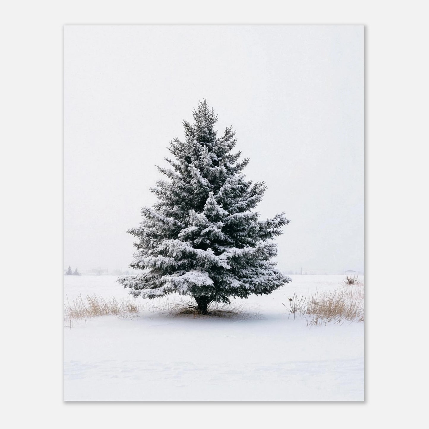 02421795-8037-444c-a757-21f318ab0904