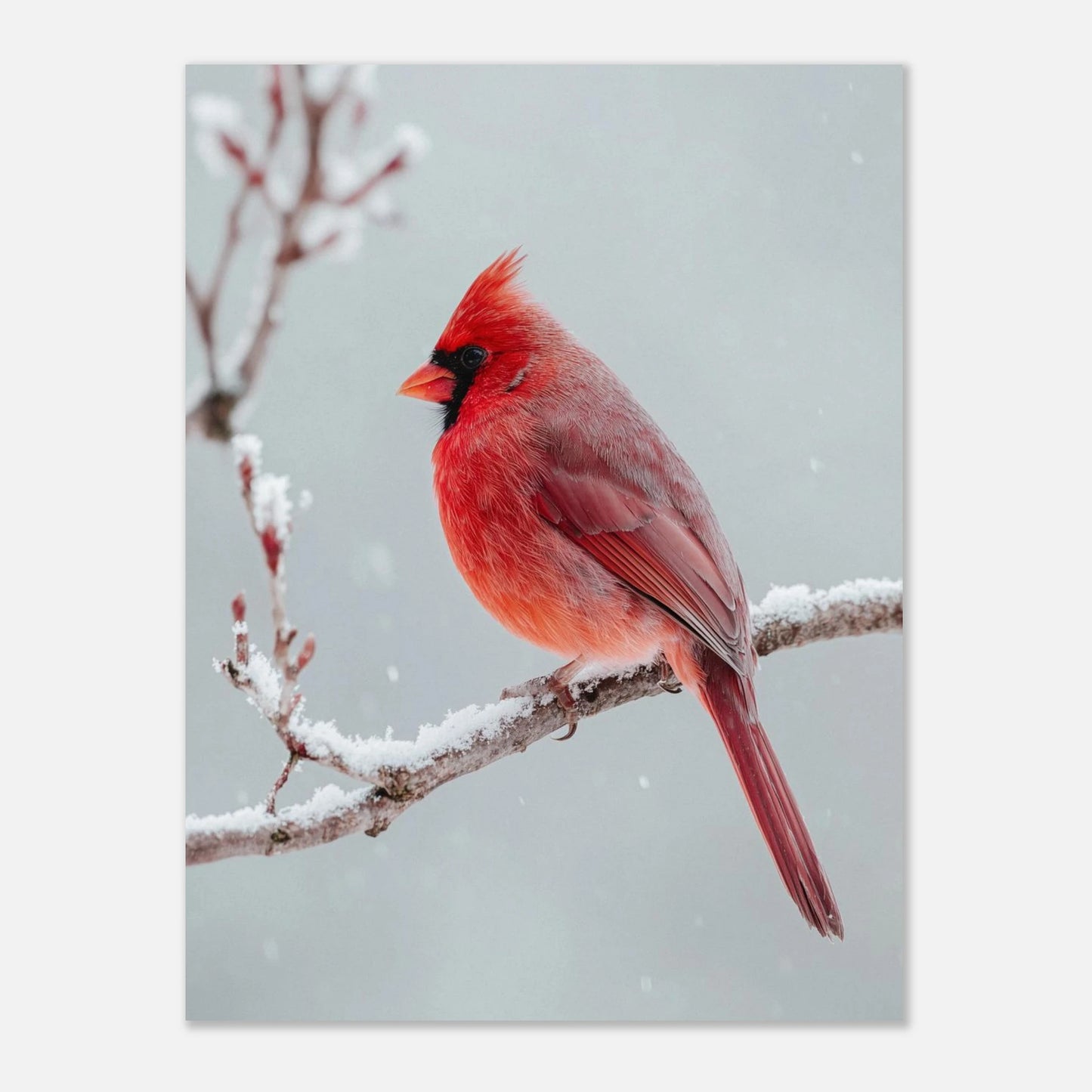 06b600a6-b5d3-40ee-8a59-ce33019edef6