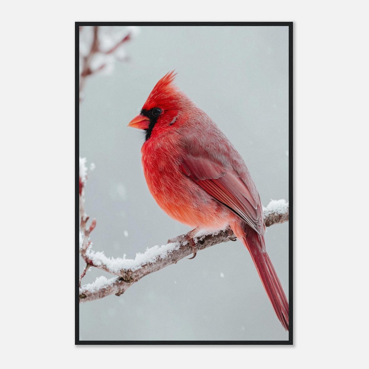 1019bd6a-5fdd-4009-b125-7890bbeb8667