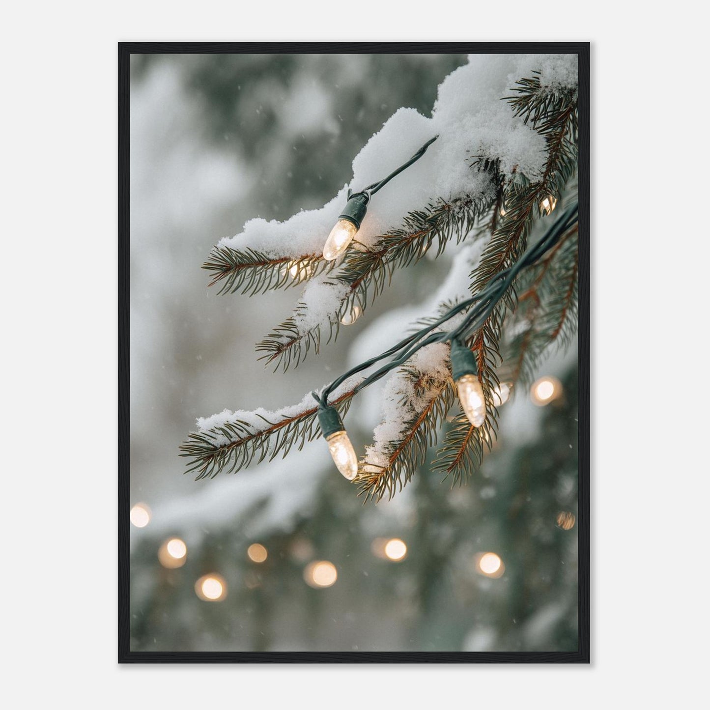 11660a3d-27d0-4bf3-8d15-4c9ba04d2d11