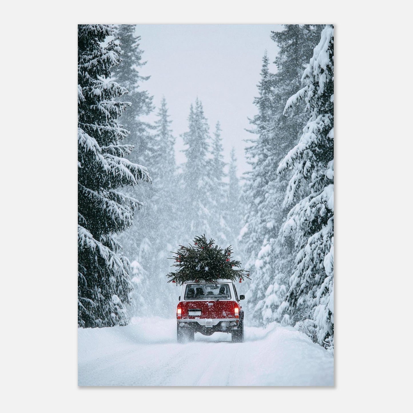 1bfe15be-3e97-4ab2-848c-2c2f3ef1b897