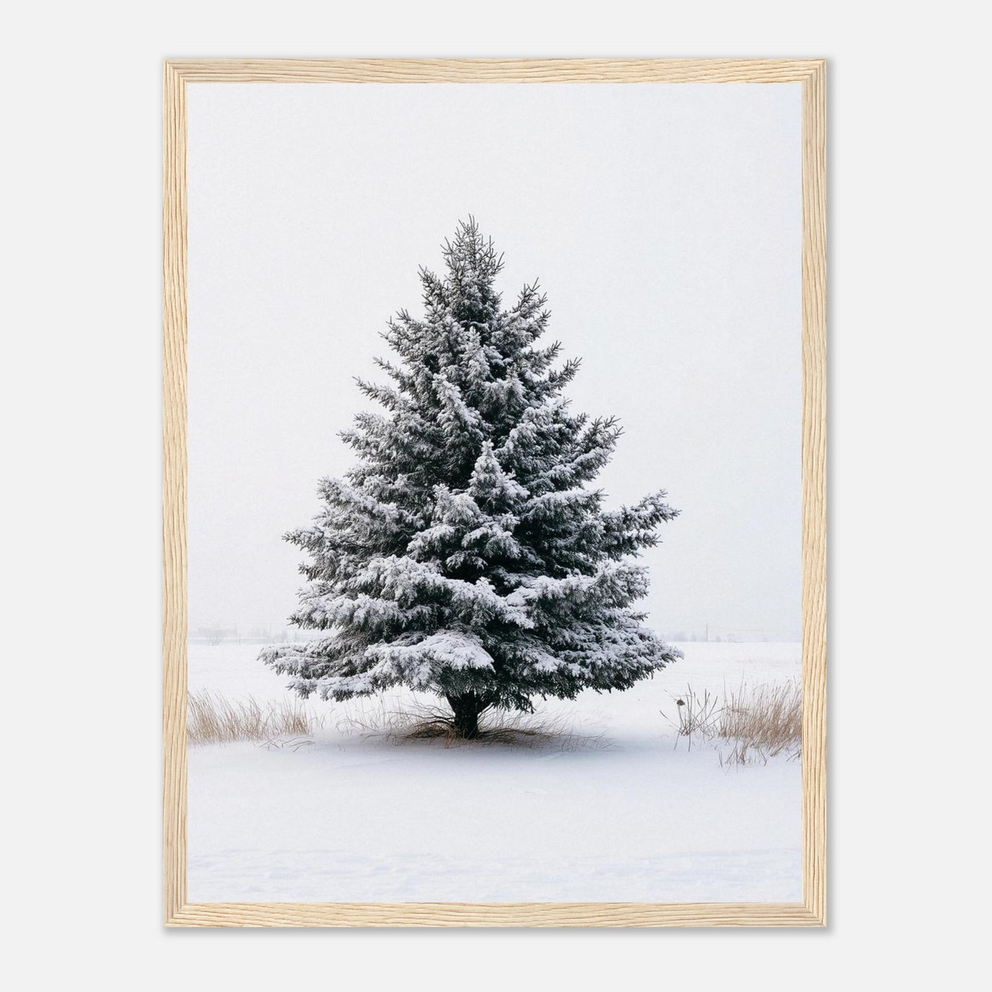 2251e29b-7cd5-4cd0-8db2-490091a7244e