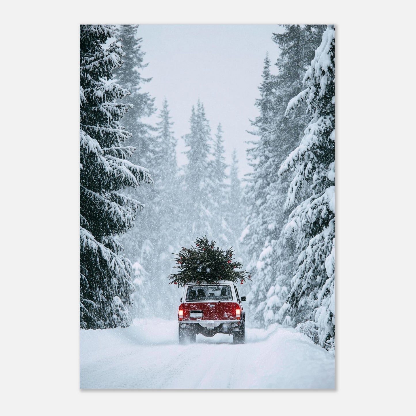 290bf46b-ac4b-4f2d-964c-fd7d89d41482