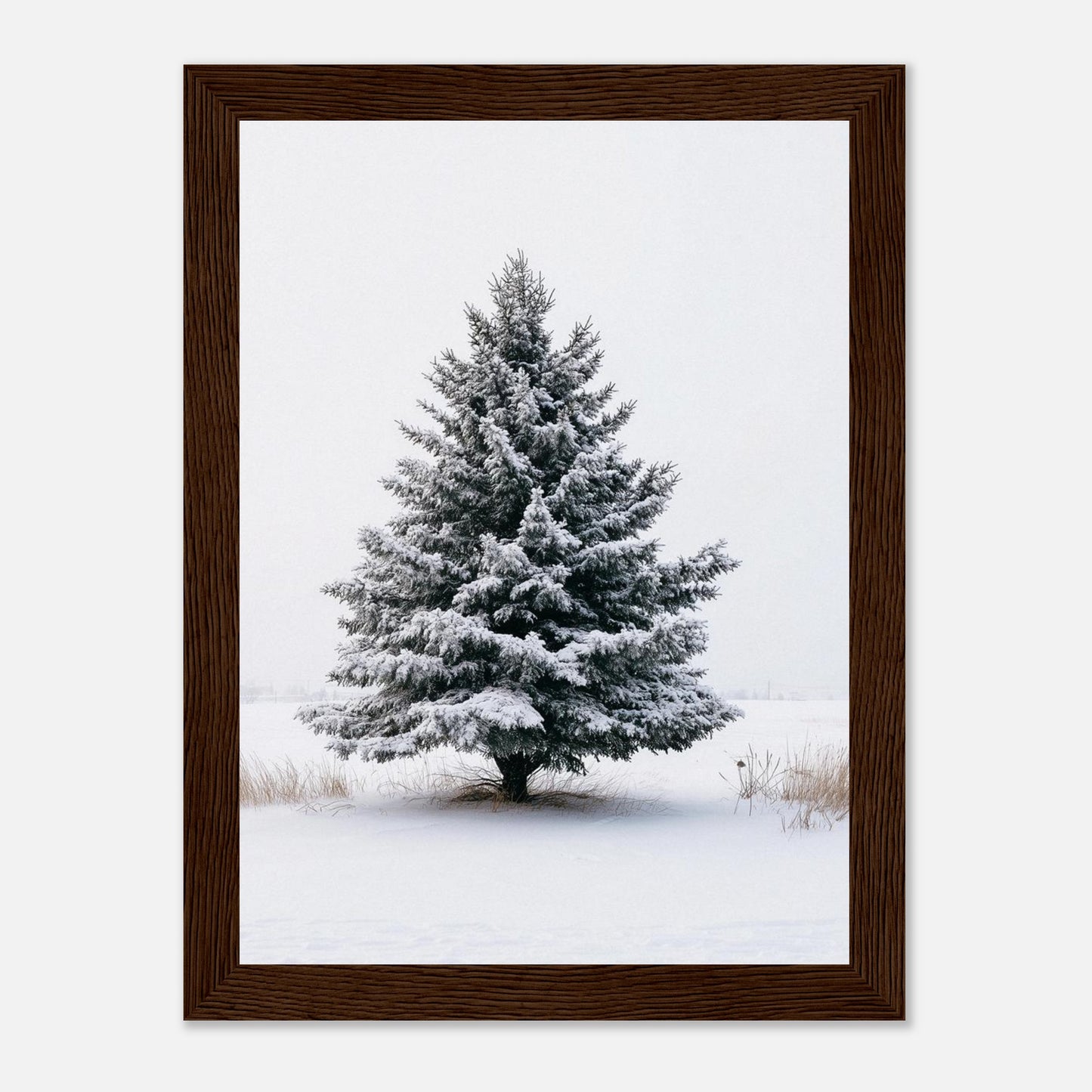 2e26c778-4132-4290-a629-62379fc9e8a1