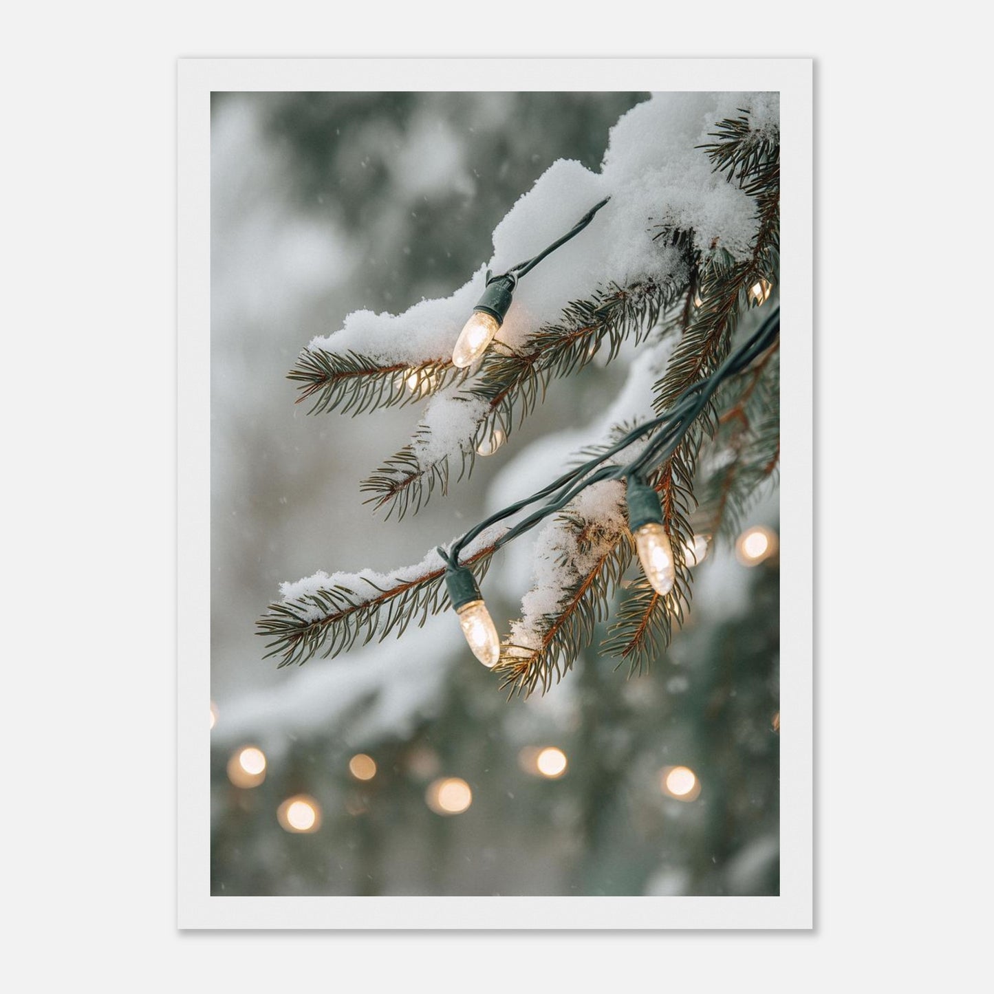 345946ac-4f8b-458c-9426-bd4ff35e08d7