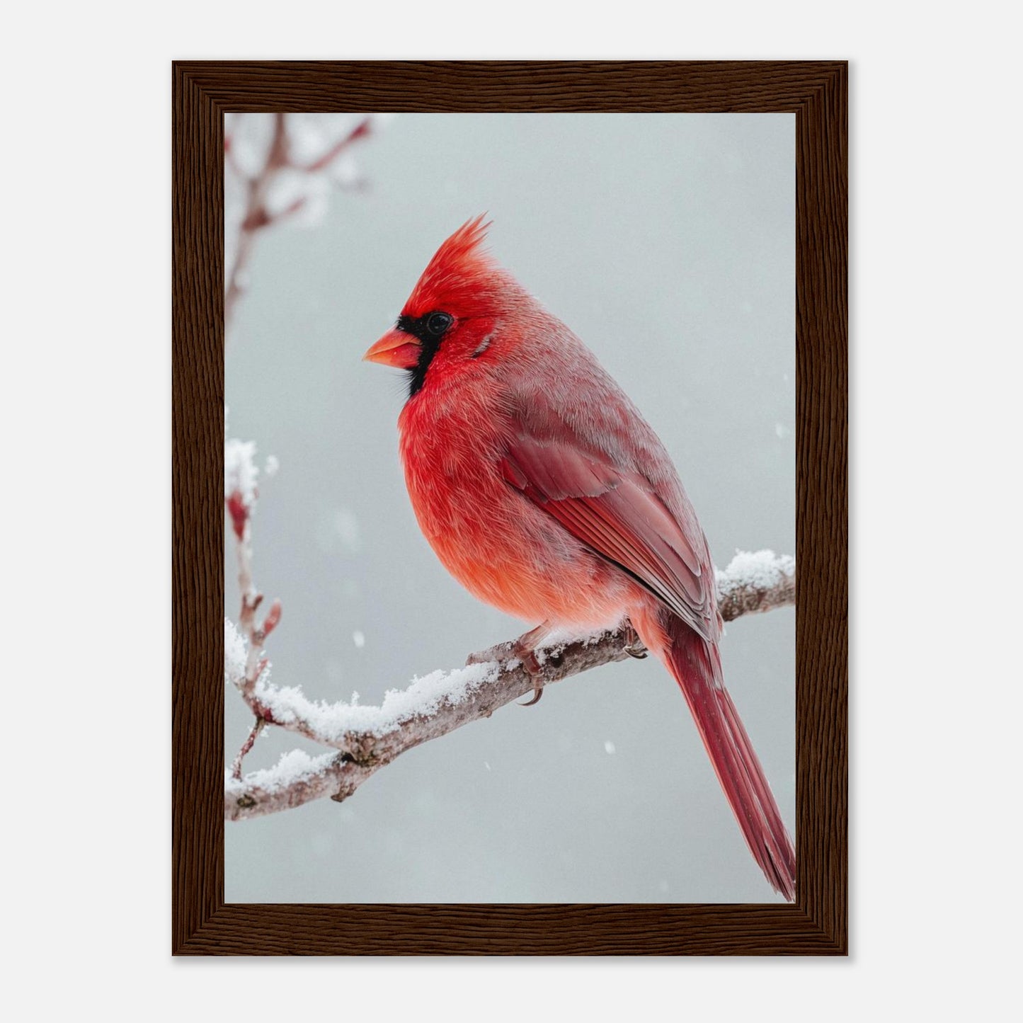 3c435a8b-5258-4f8b-954d-be5dc5abf6ec