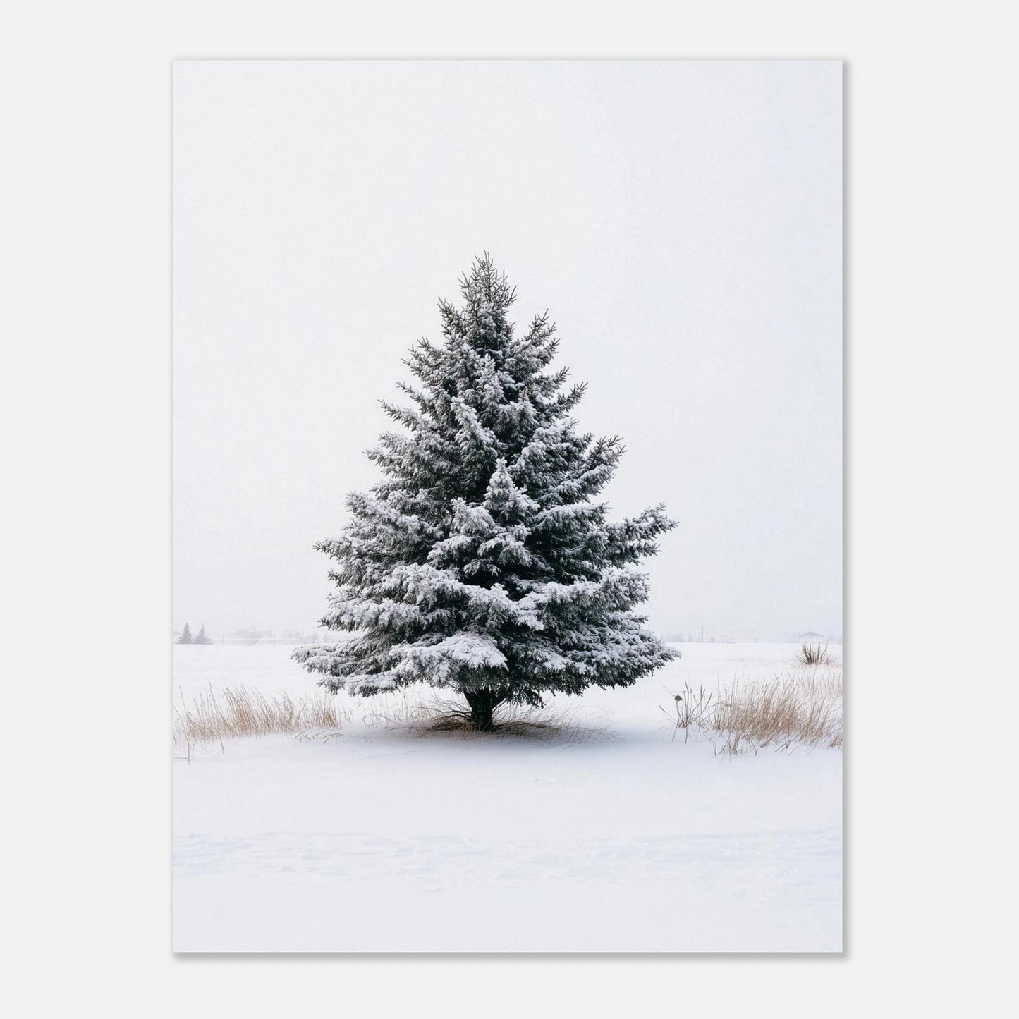 427aa554-8b93-4b02-a5d1-1cd2eb0fbd2c