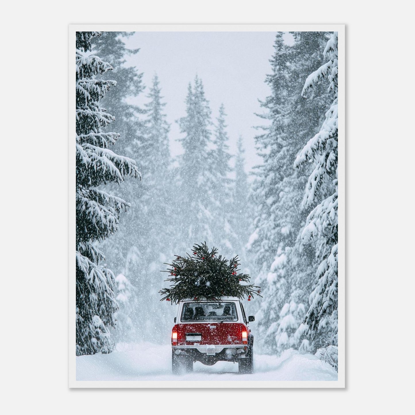 474d168b-24ec-4bf7-809a-f45286e49f9c