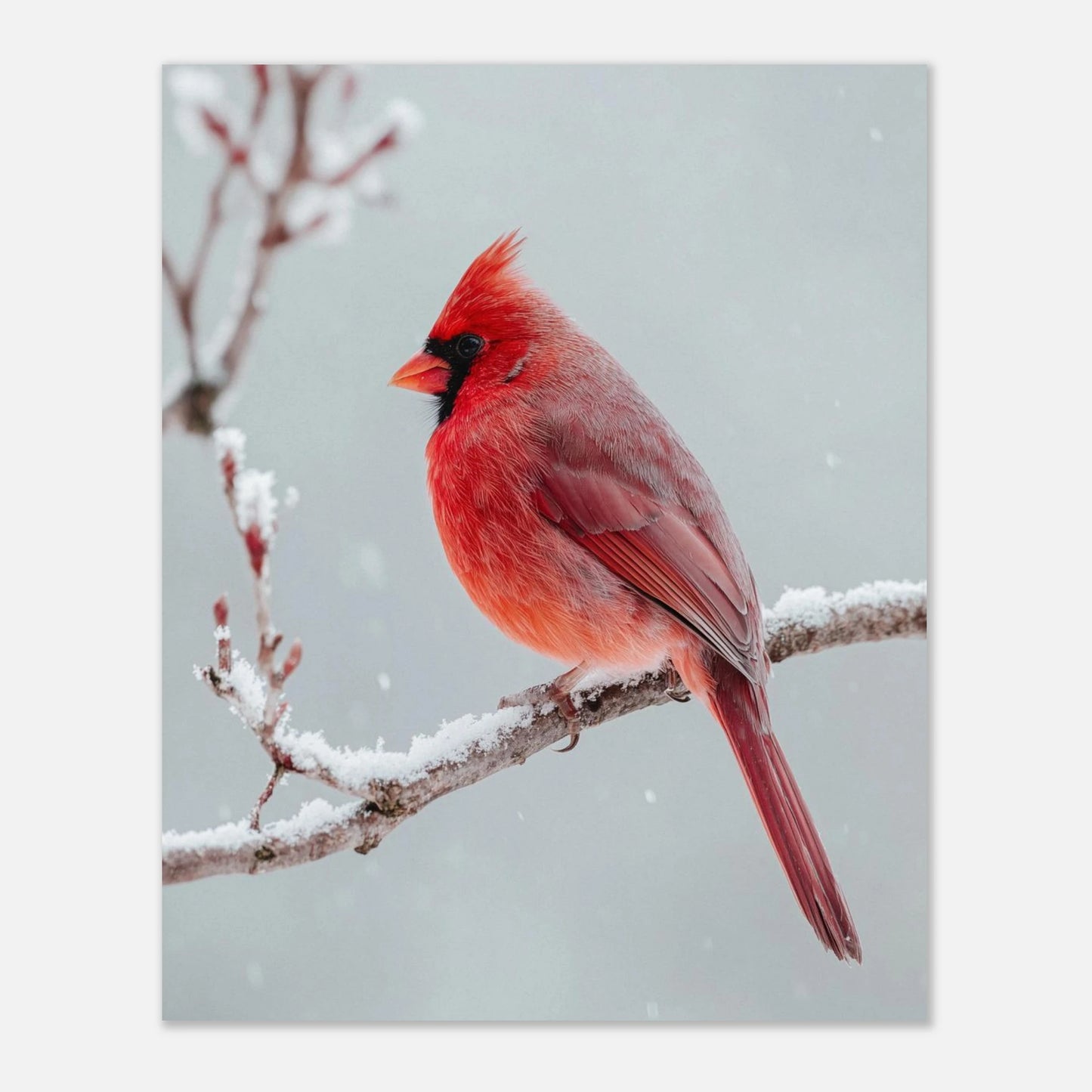 49150eef-a5a2-4b8e-bff4-ed83e5813fb8