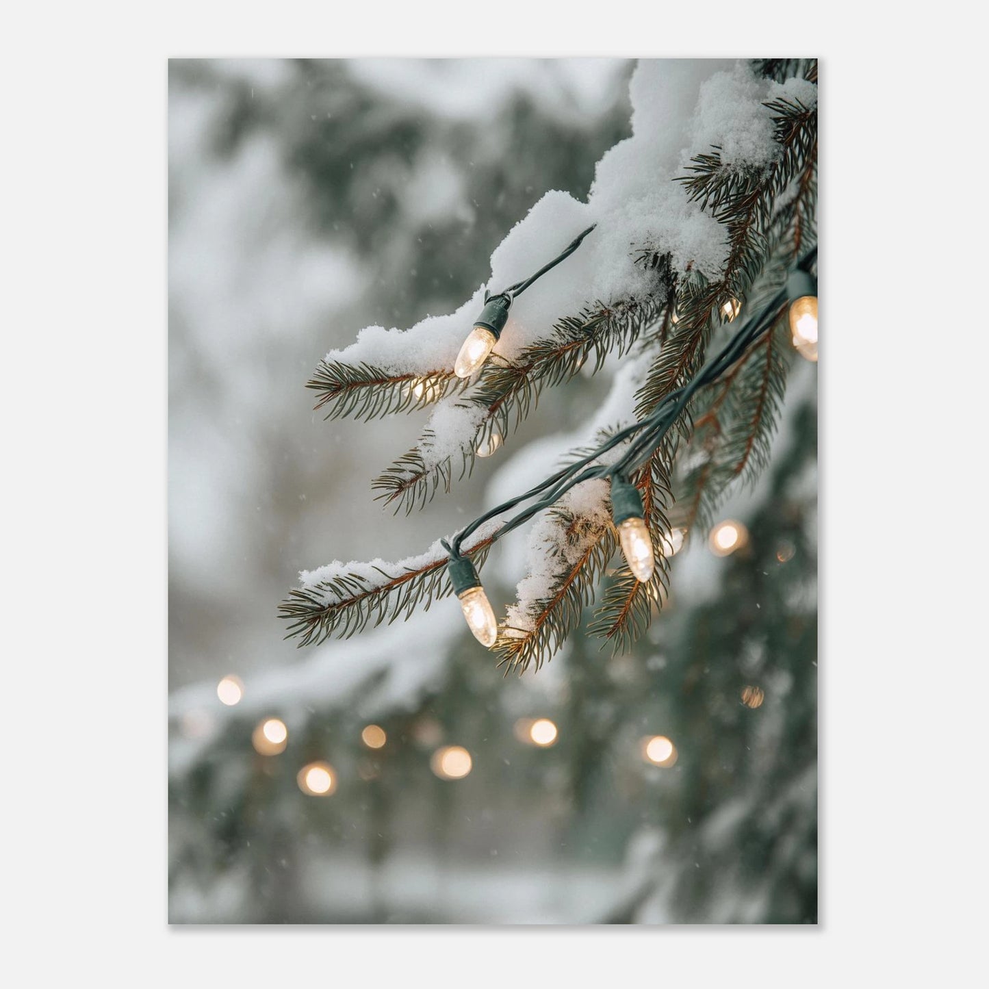 49c5eeae-2007-4f13-b182-bfa26604a3b1