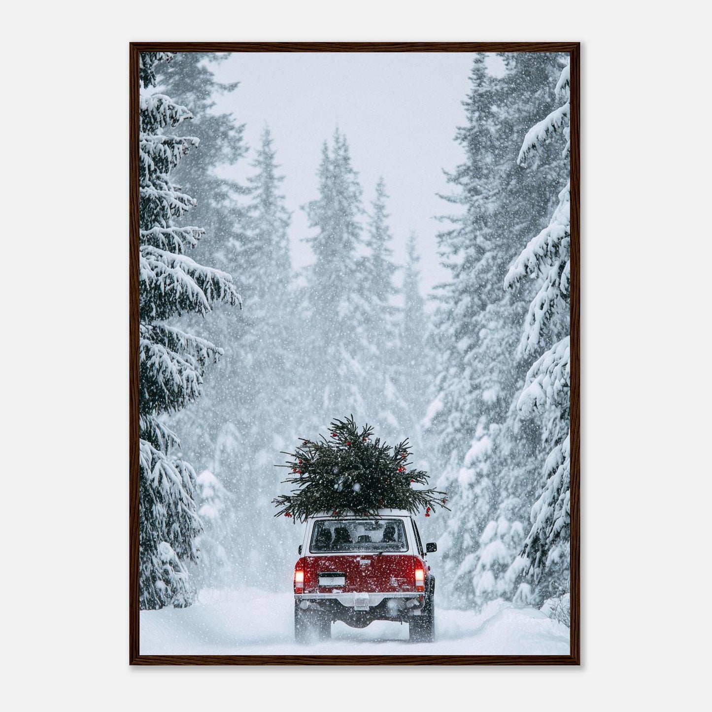 5288d348-888b-44c2-b485-526cb9ef7a3c