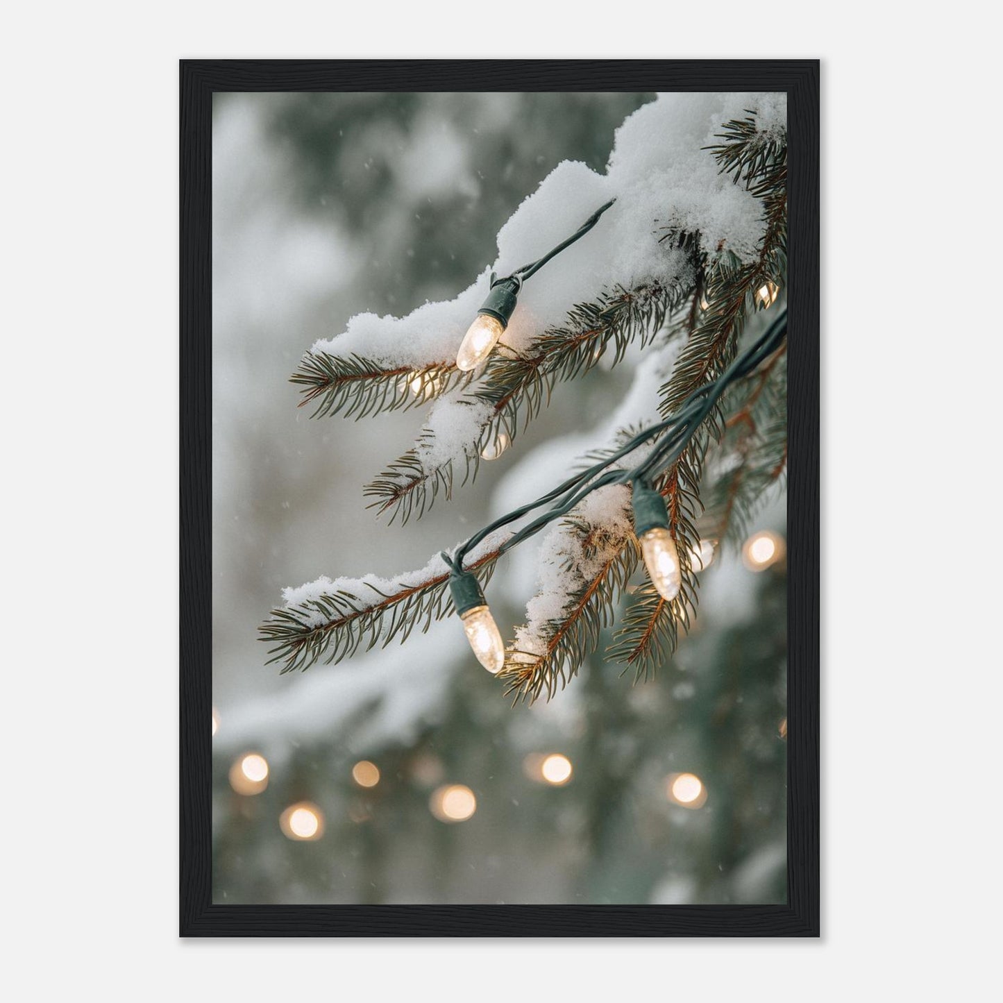 5fbb3083-d641-479e-8b56-66a8fb24f01f