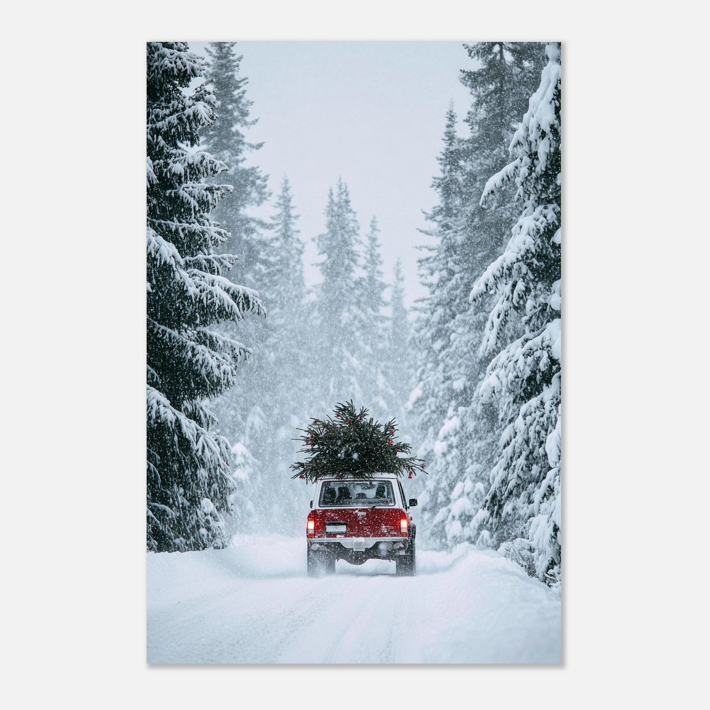 619cf8bf-0162-476a-999d-a0cea1176914