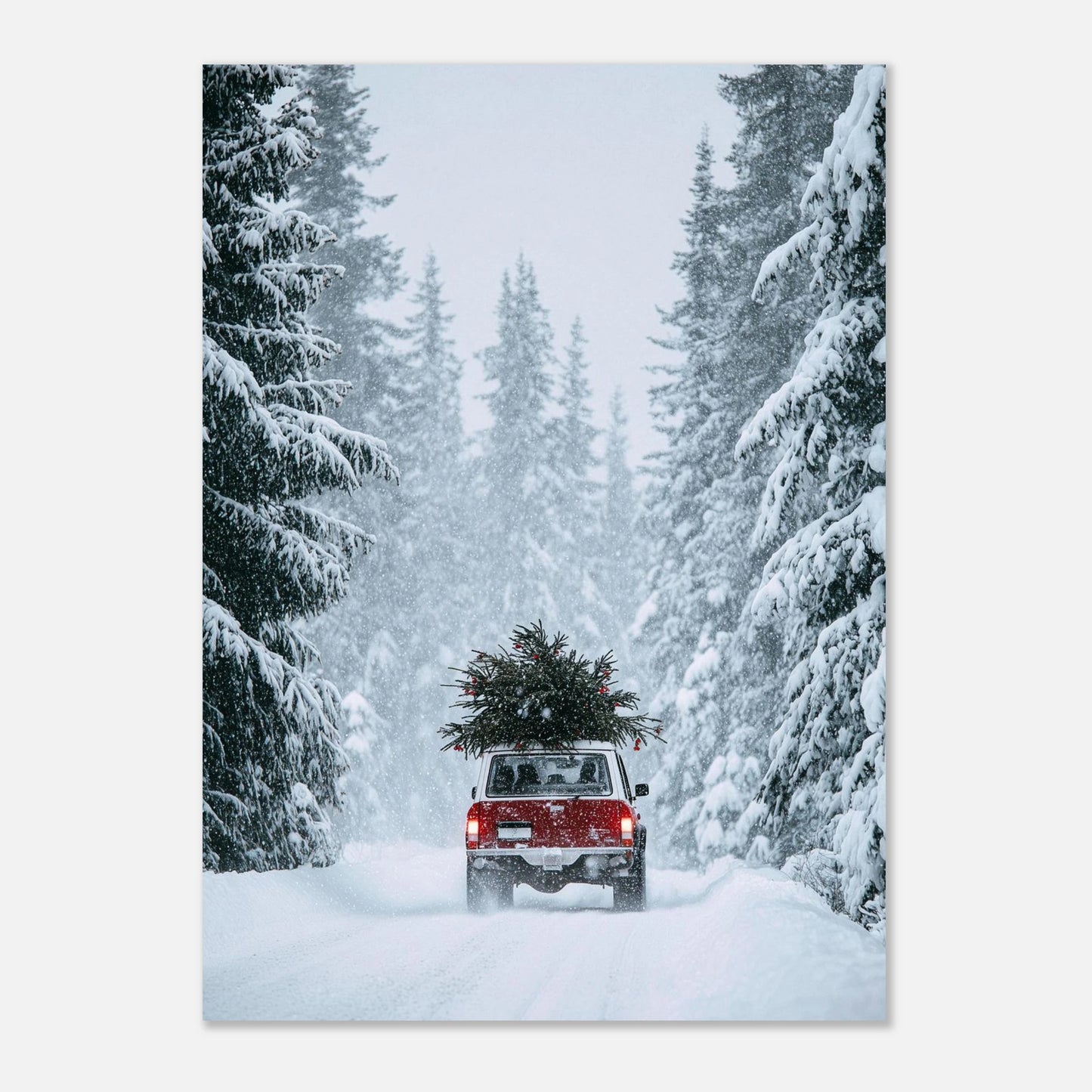 752c3e00-b678-46ed-a618-00c141c37c96