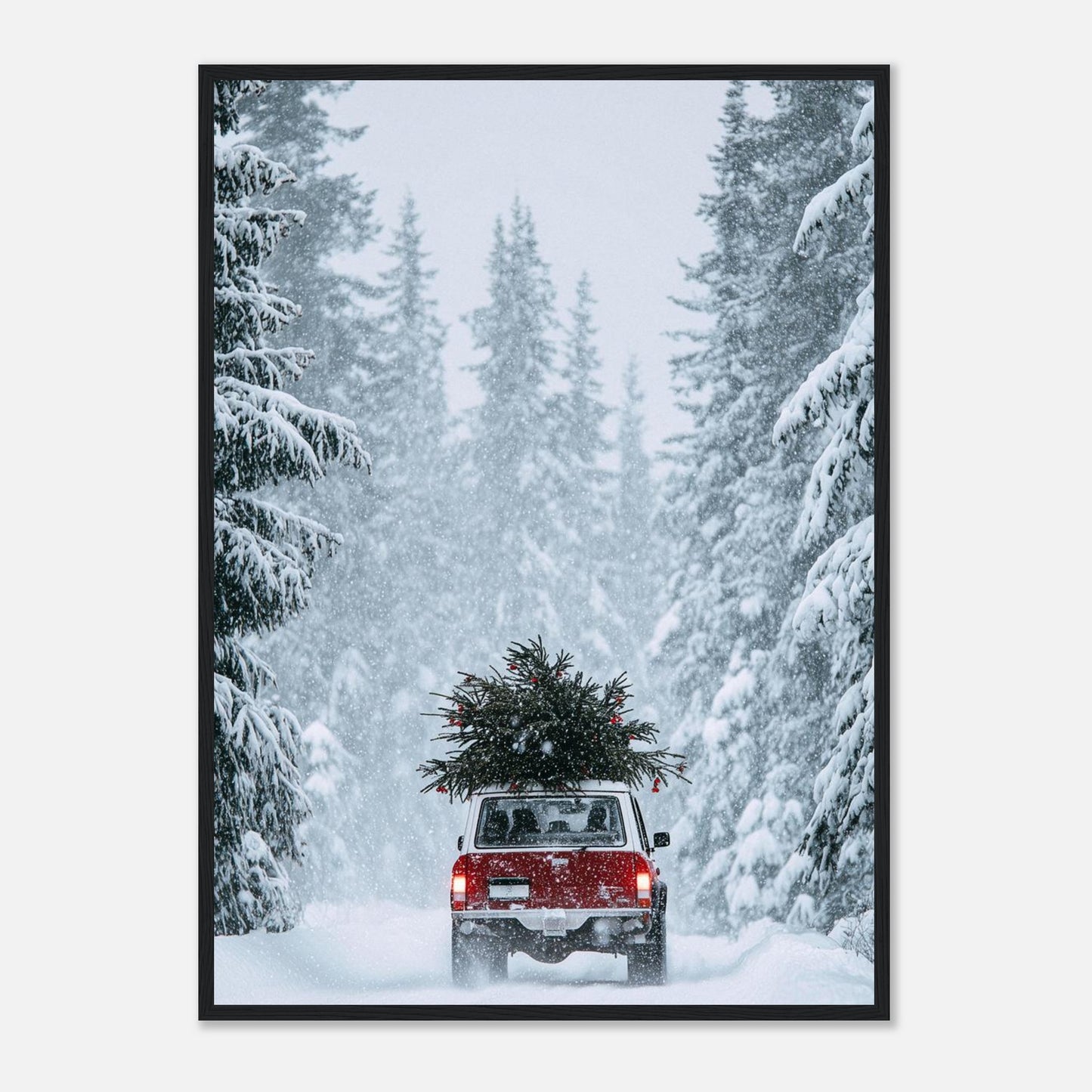 77e2410e-af7b-45e0-b76d-5b2e267b415e