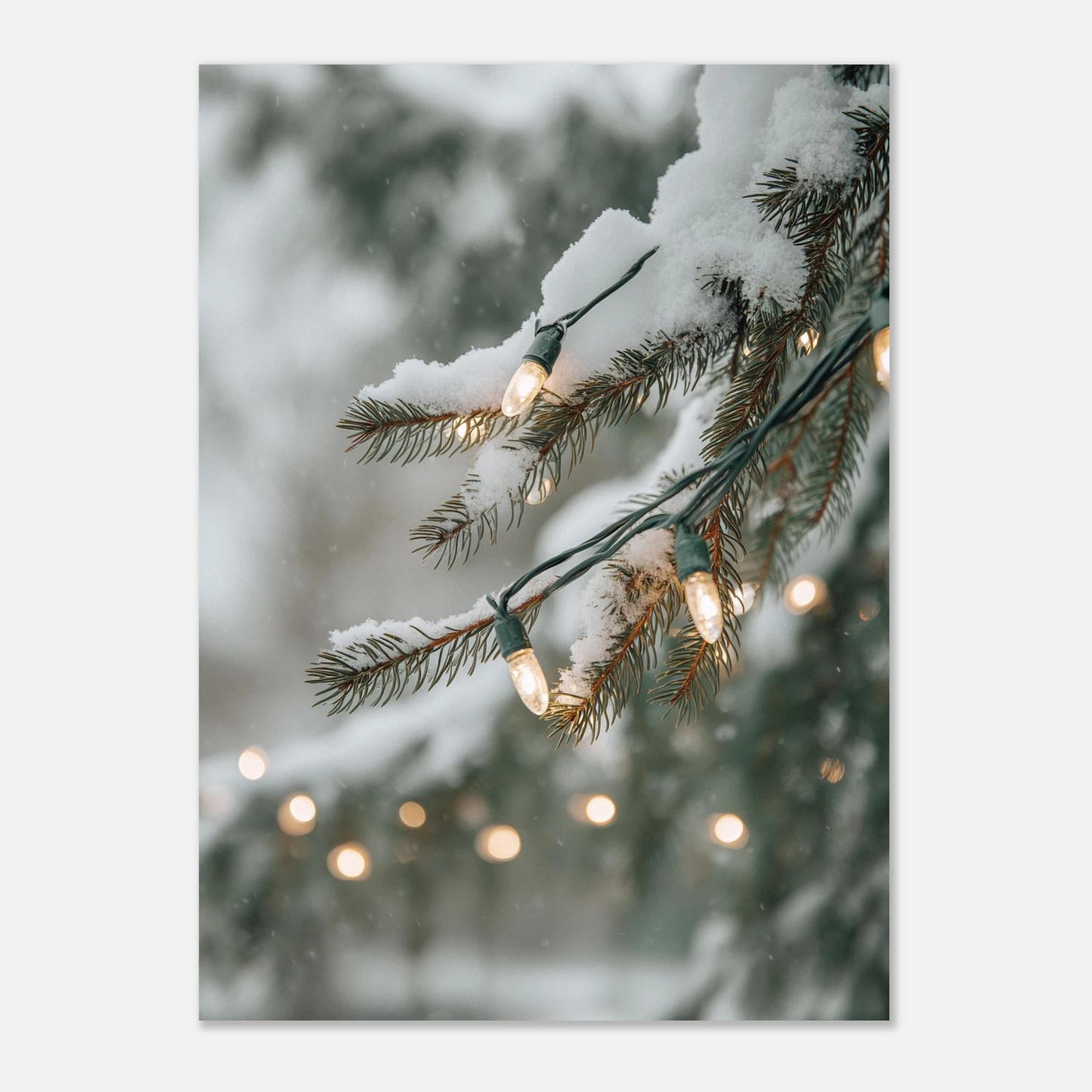 7d01cea1-b644-4bc9-ad82-90e424dfff4b