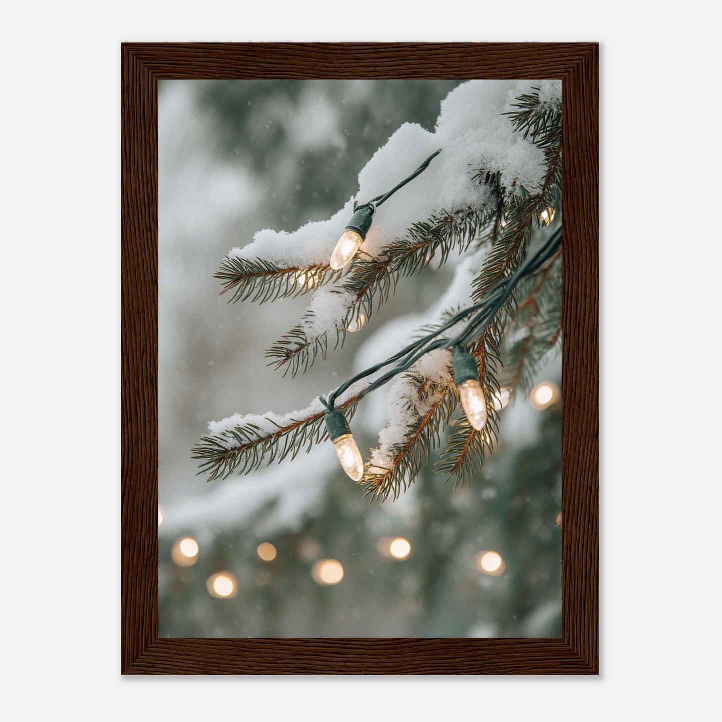 83e97e77-da0b-4e94-88b6-feacf98546c0