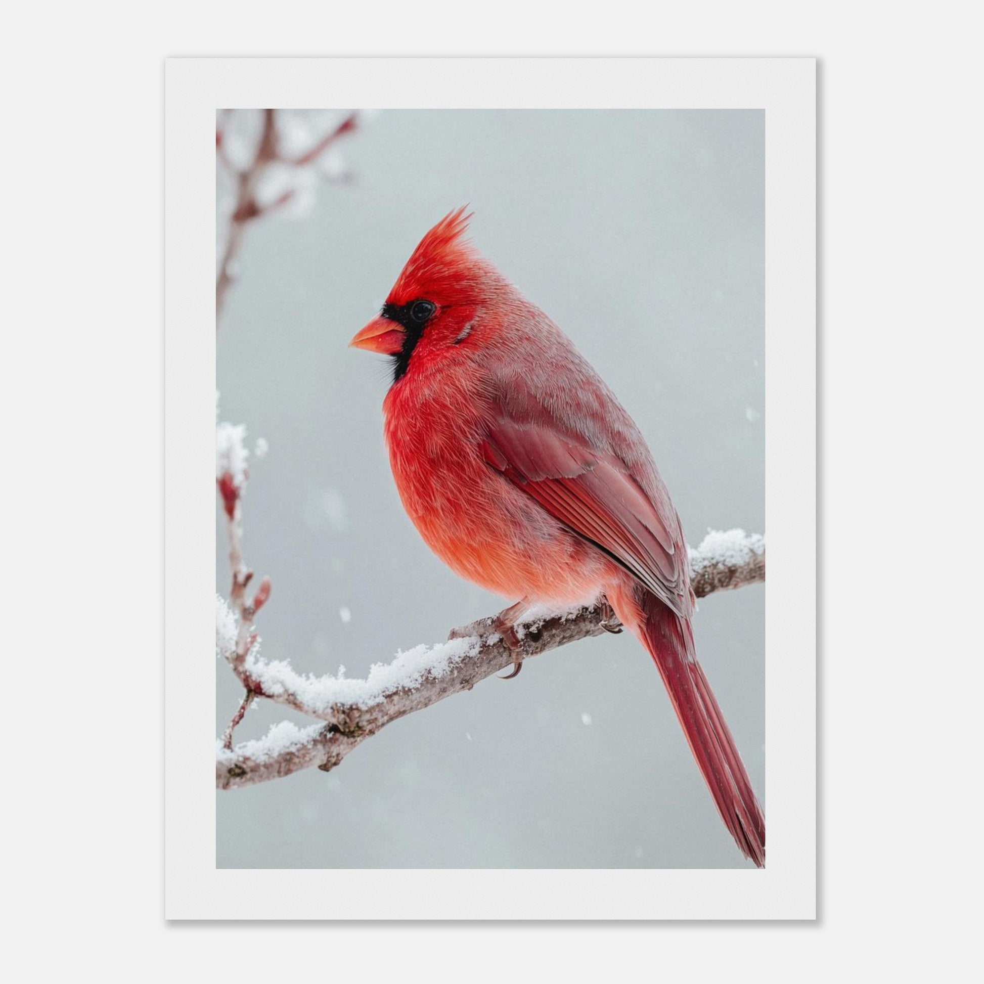 8f53bd0a-9da7-45c4-a045-68337c5f25f5