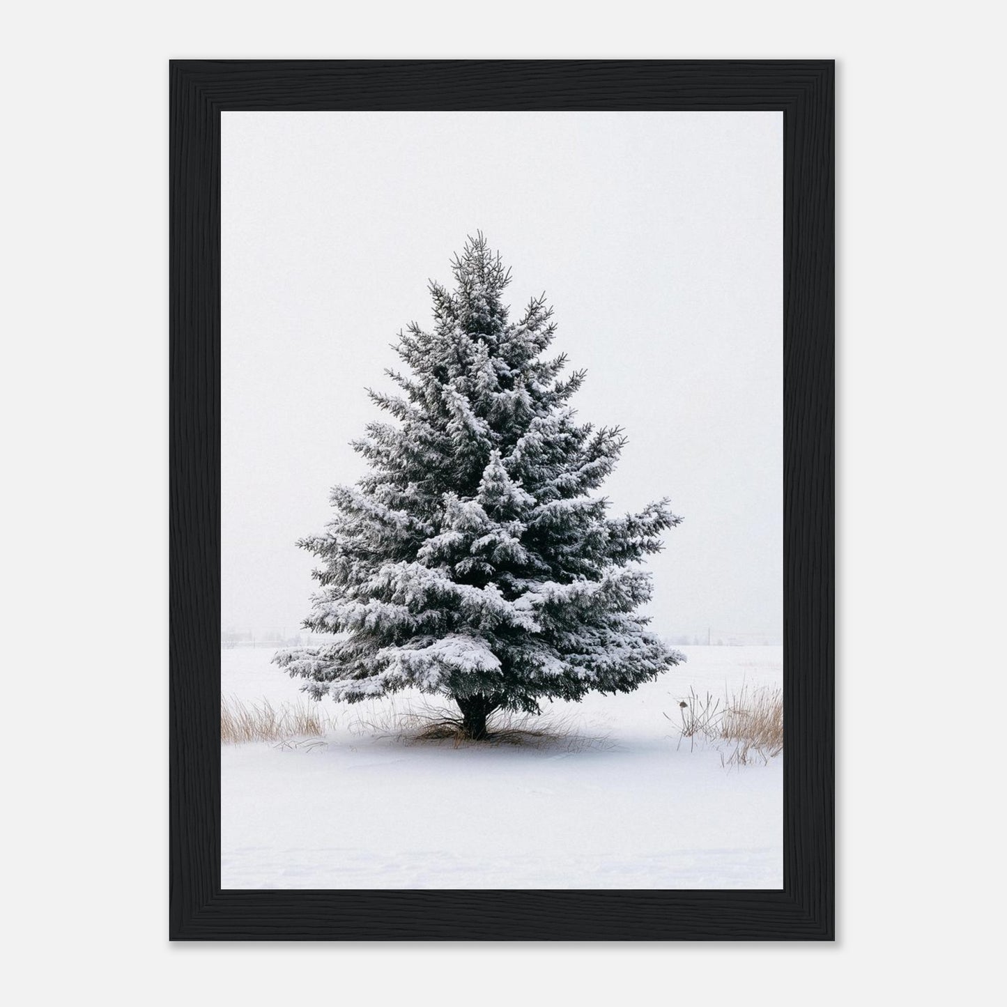 8fb6f65f-e923-4a47-a093-70765b3dbfd7