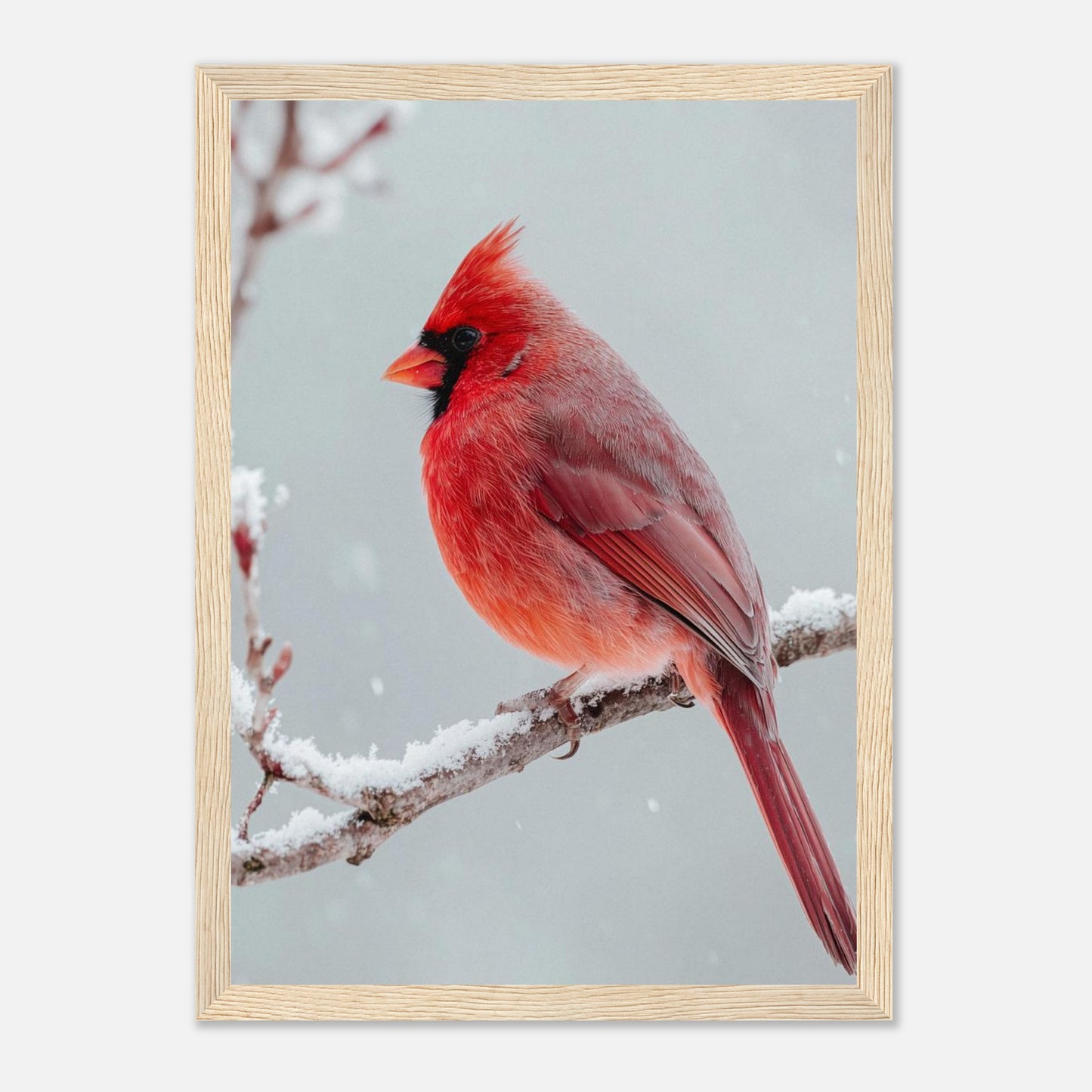 9fa5847a-7a8b-4007-b2f0-2a348ec98db6