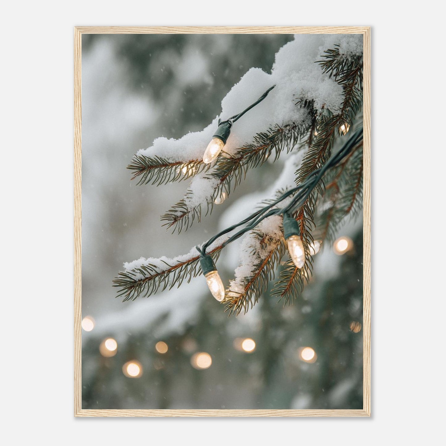 ab49687b-d7a2-41f2-abb8-b096f1e0f301