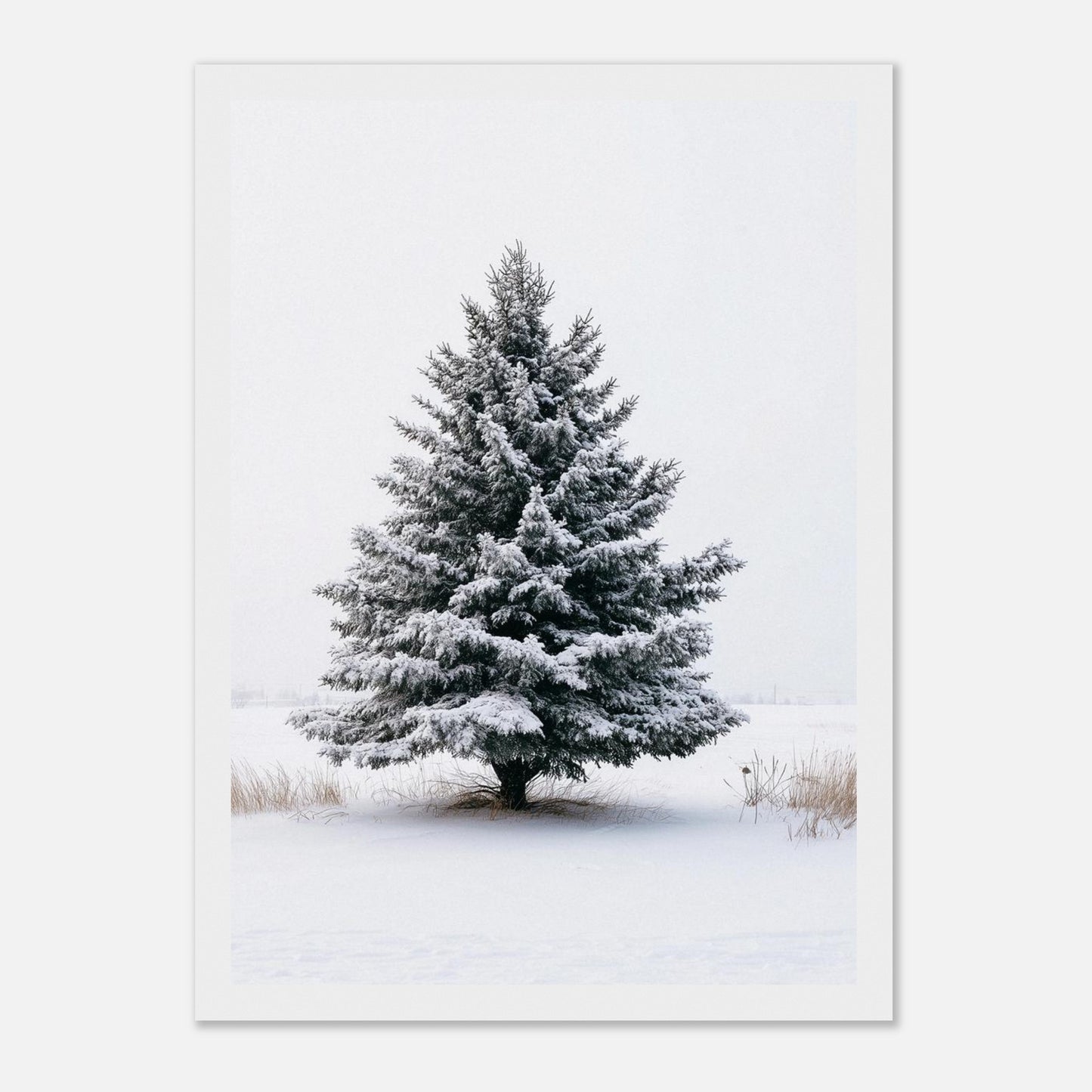 b0a7cdef-7376-42b0-a245-df543d273c91