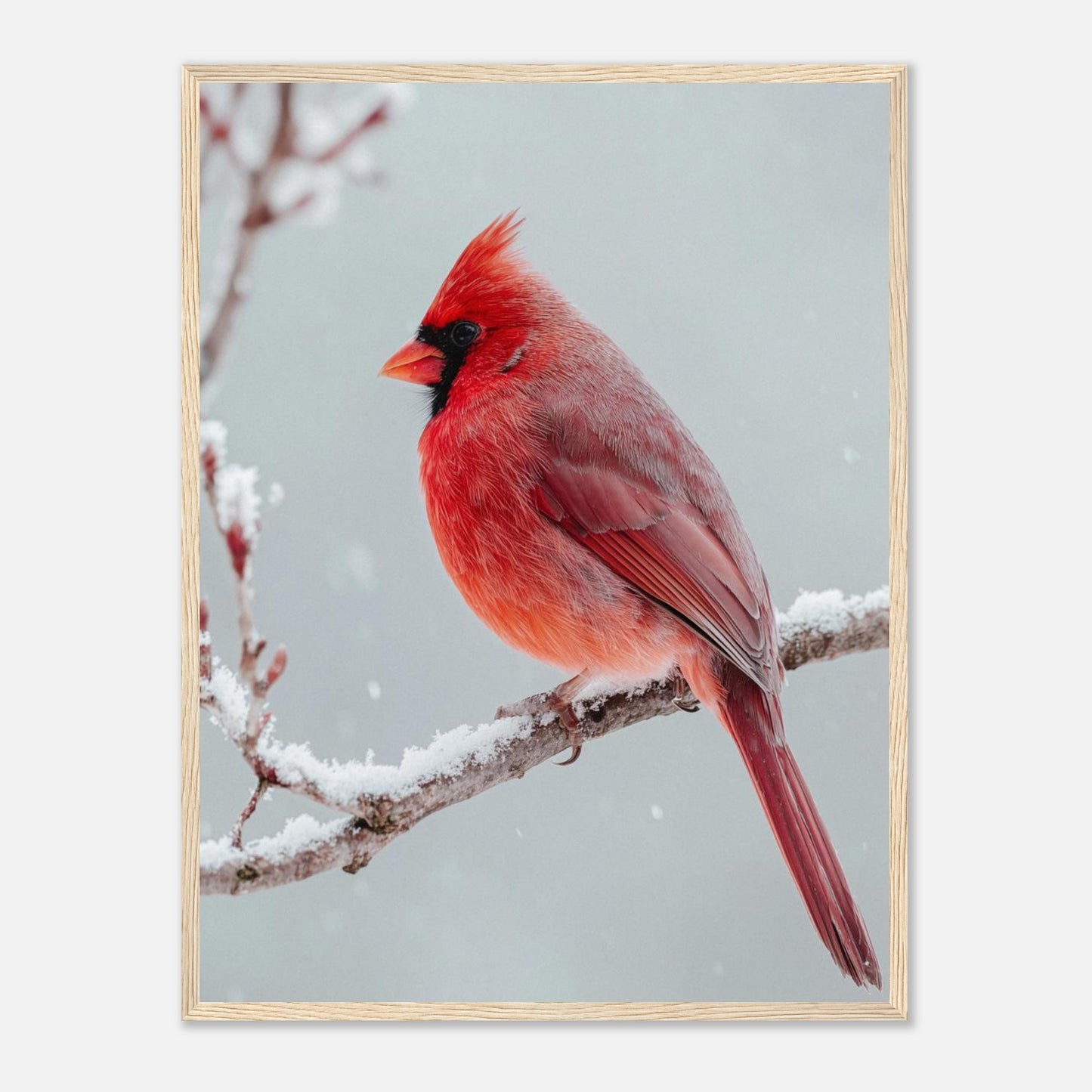 b5037d42-a082-4c77-b970-767422edcba5