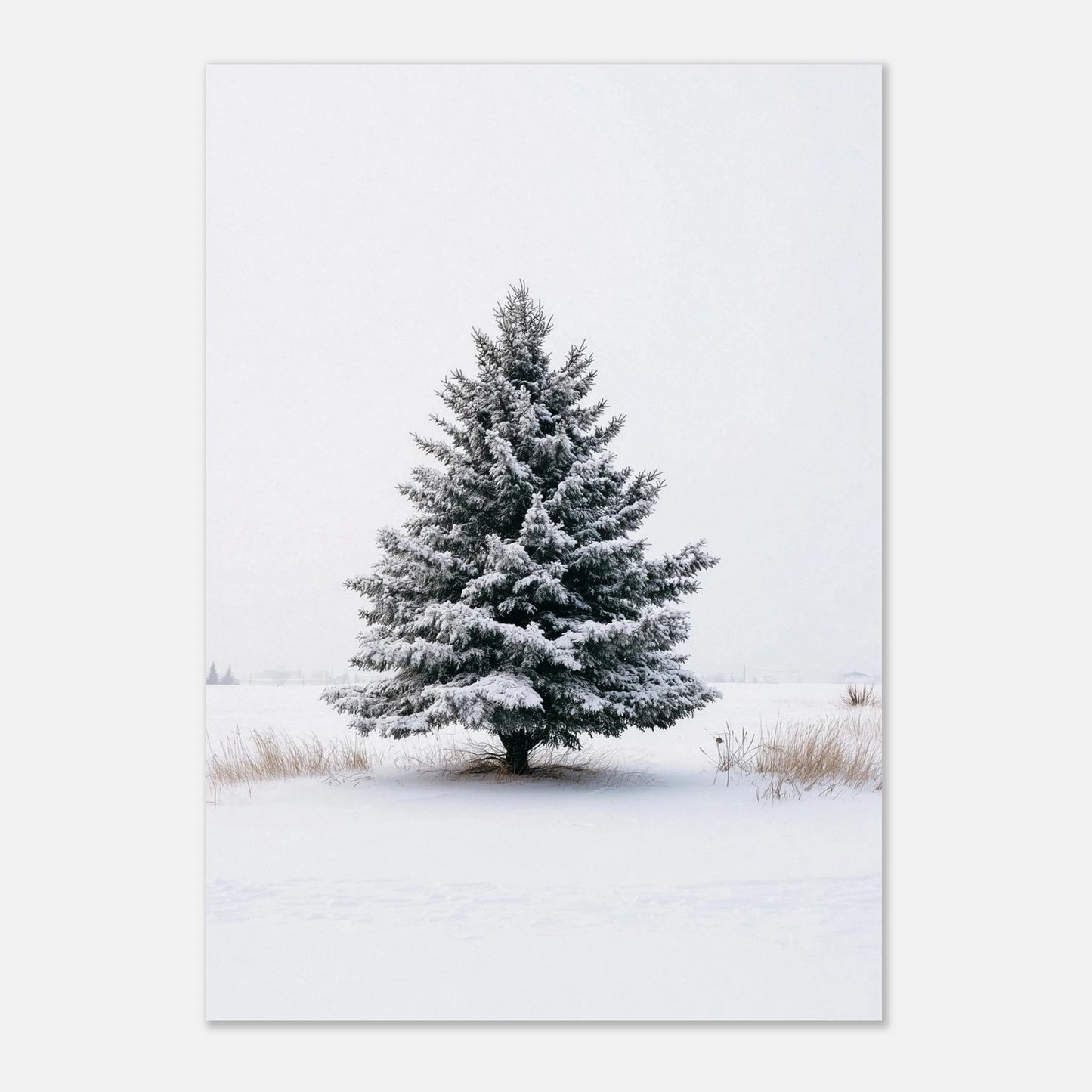 b620e5d8-e919-45a6-b440-f72c8d054b48