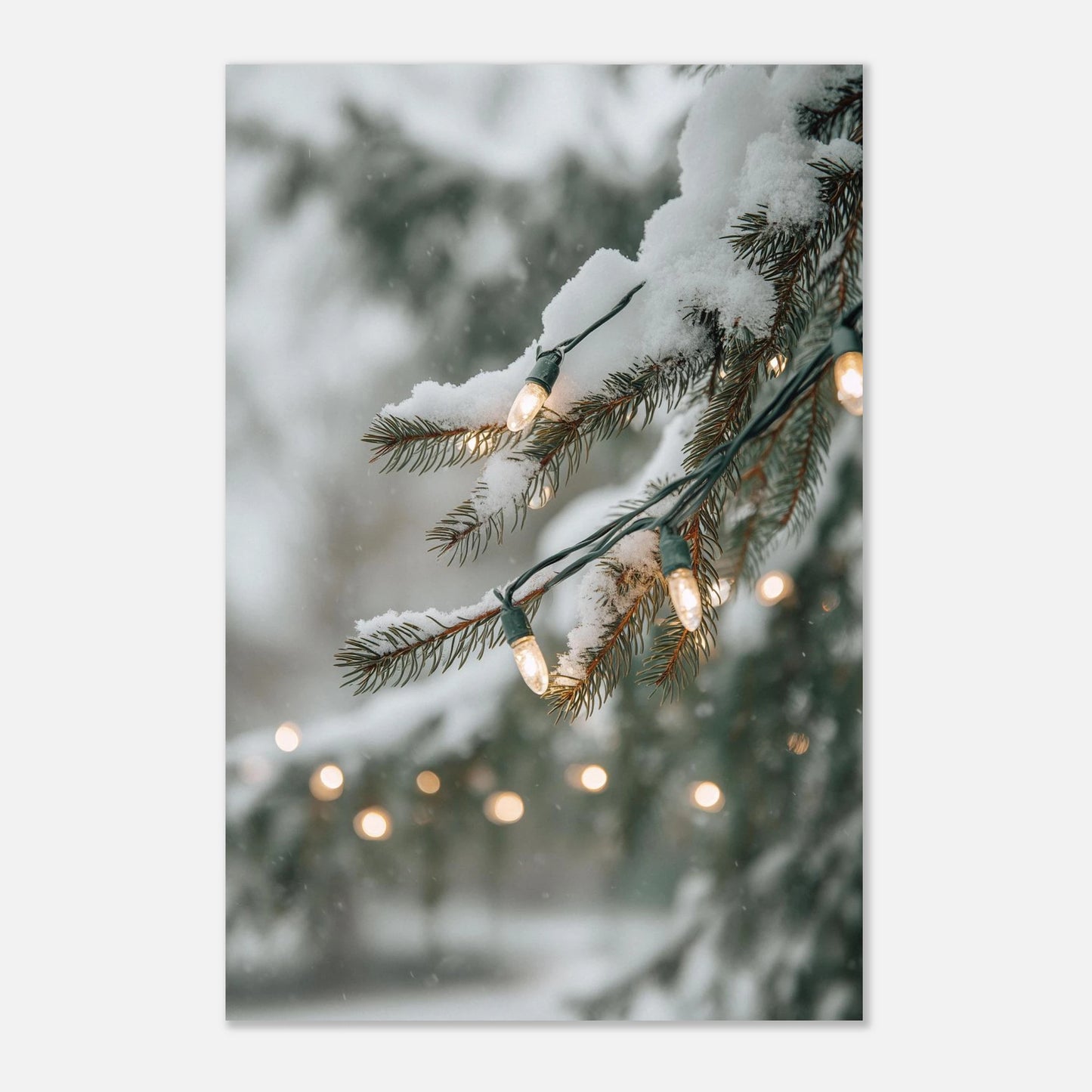 b7503416-0fd4-485e-a0d1-4d160709764b