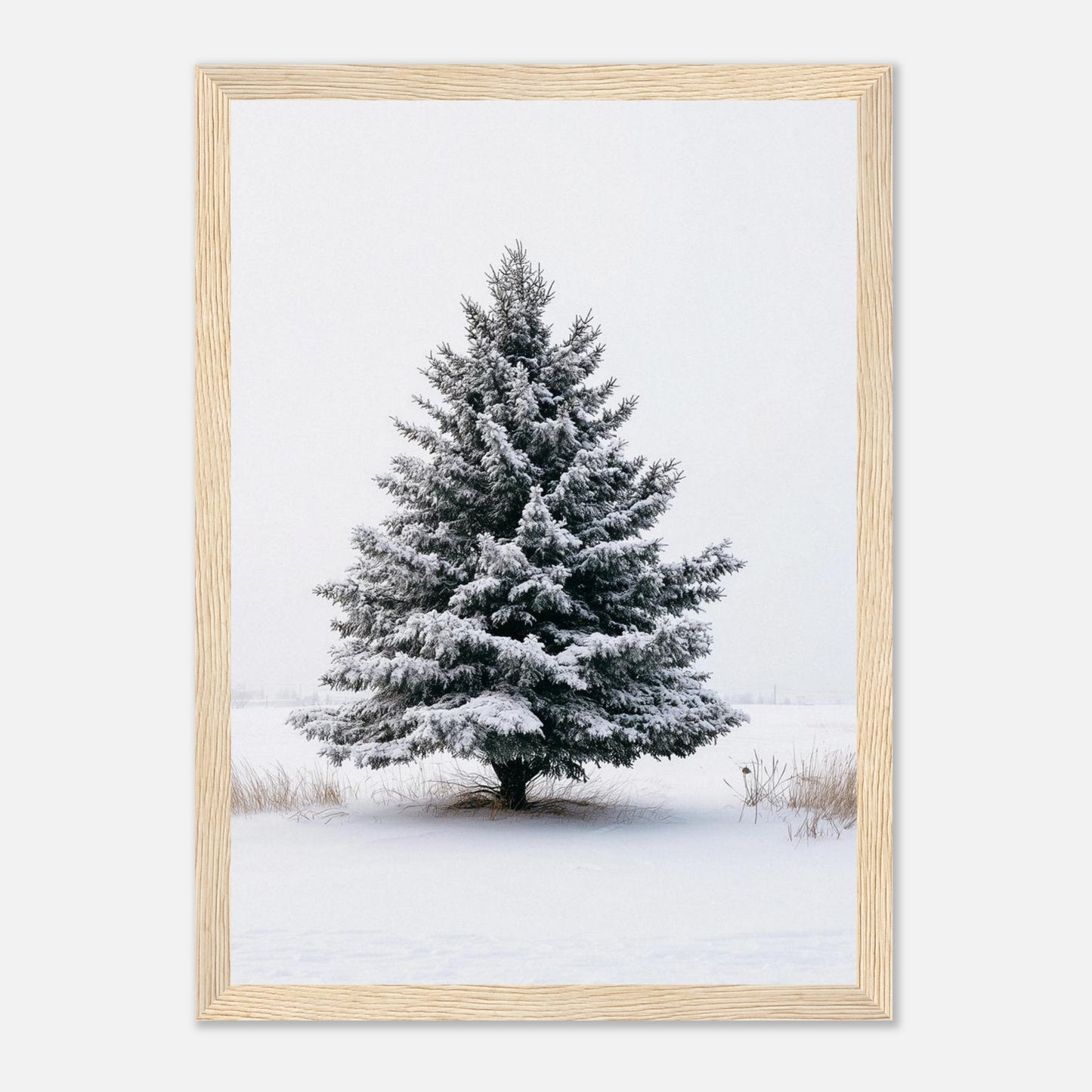 b79e8855-6d68-4714-940d-43ef623c9e1e