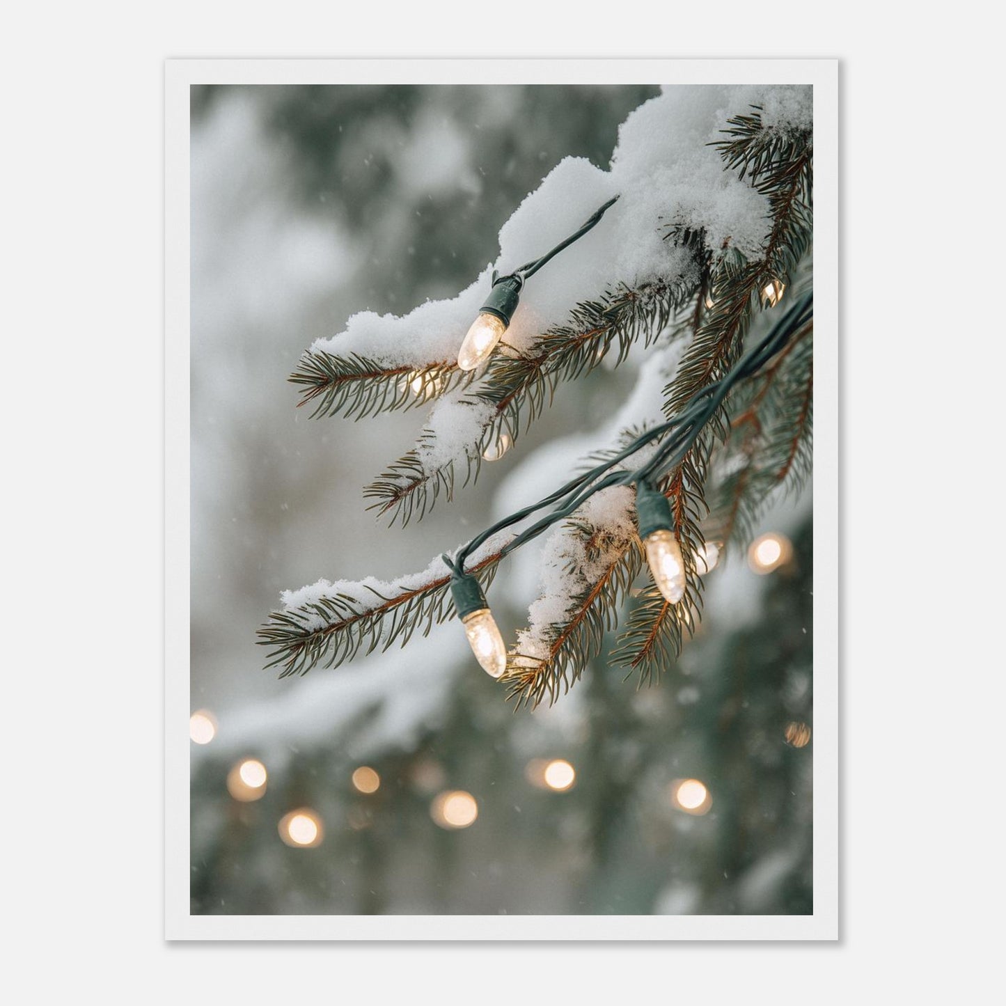 c444ef3a-3bdf-49e5-a1c8-5bf53ee3acee