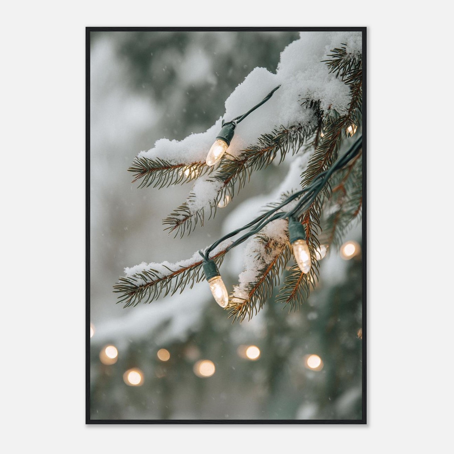 c4627b64-252c-470c-b4c8-1e1be6e5a61a