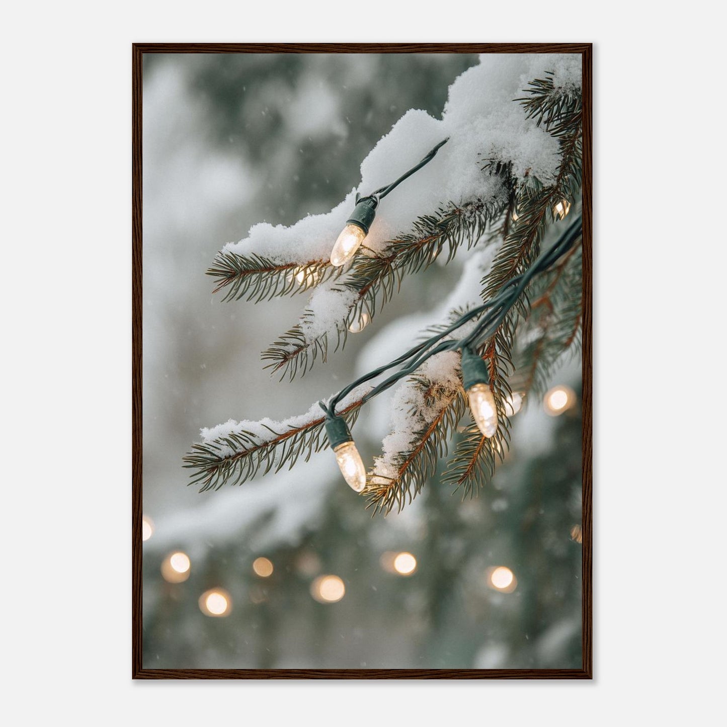 c63c6198-d813-42e3-9223-a38488b7d393