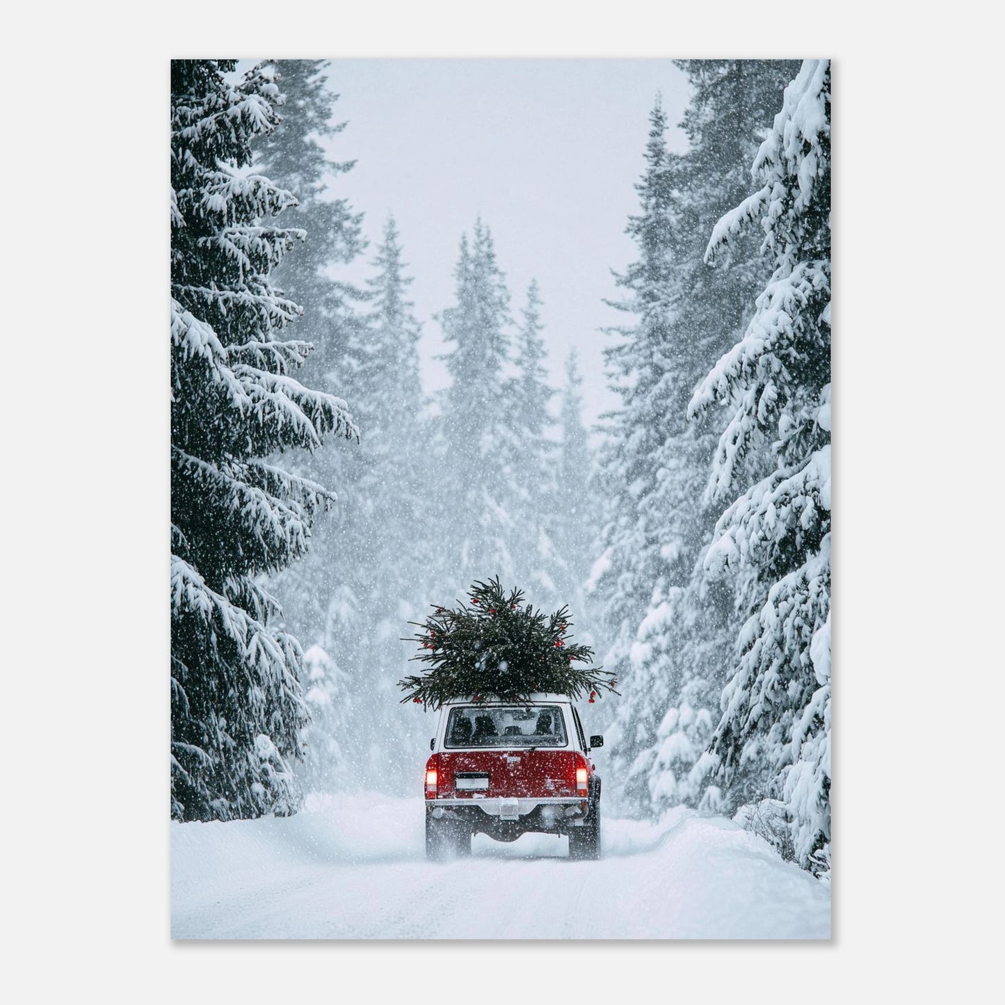 d3b5cc36-7a44-440d-8da9-065610fb5002