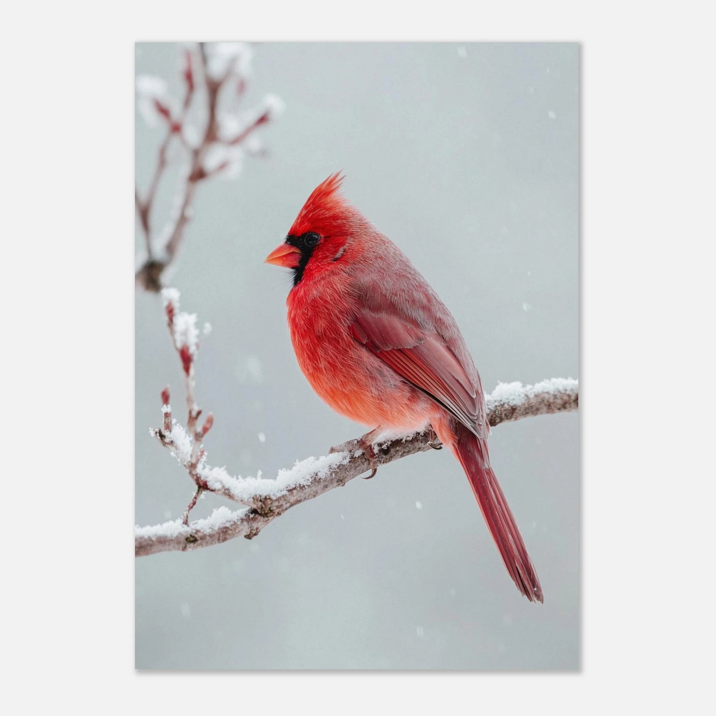 d7fded2f-2a68-435b-b8b1-606d943bd302