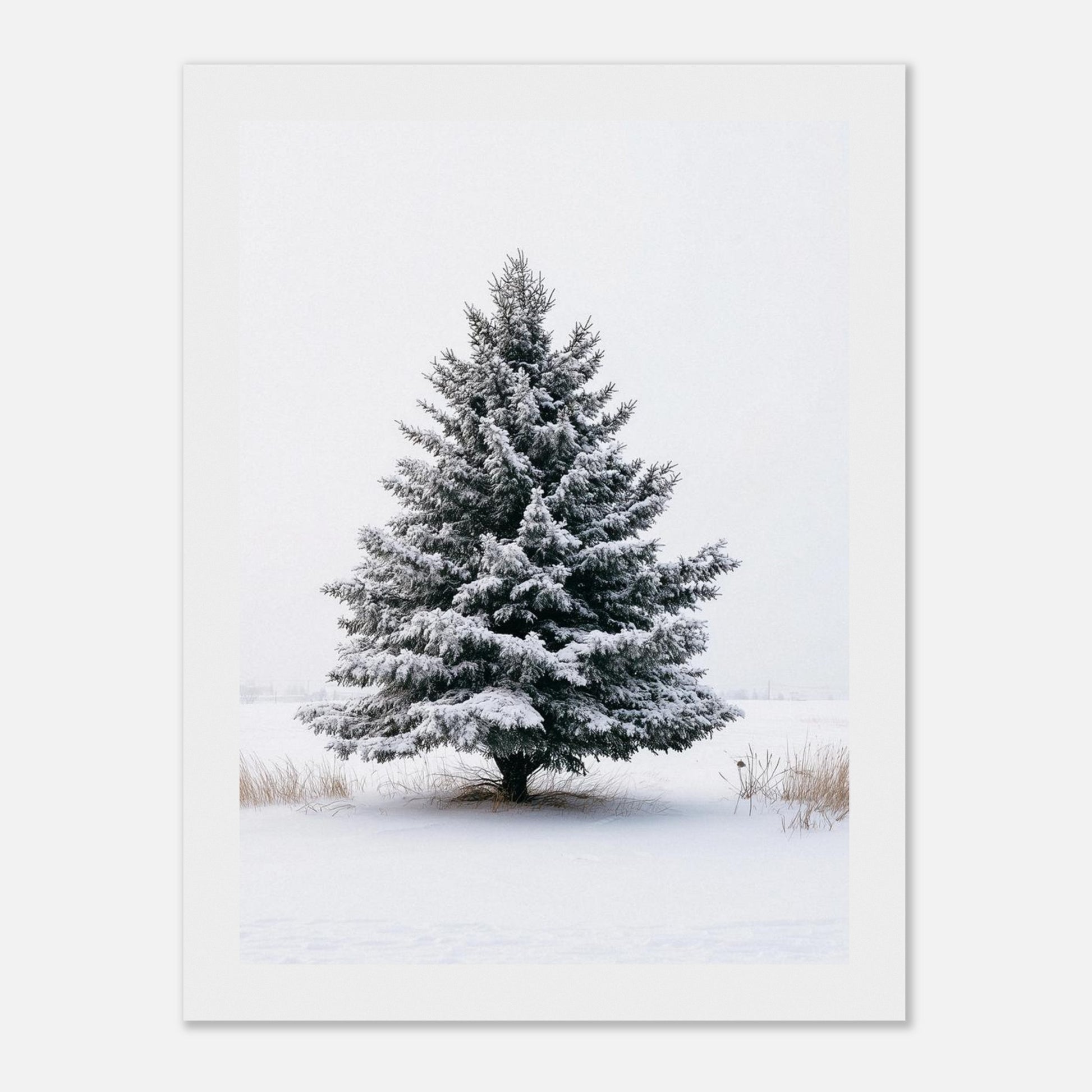 e00675aa-cdc4-4bb8-964d-cdea2b18fad1