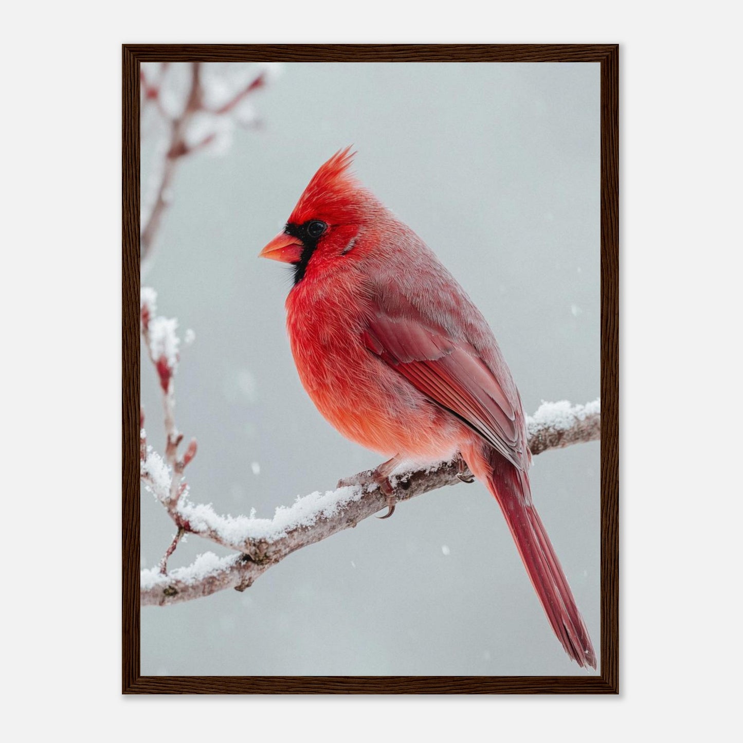 e56e7839-d2a7-42fe-a39e-b4cb09bc65d7