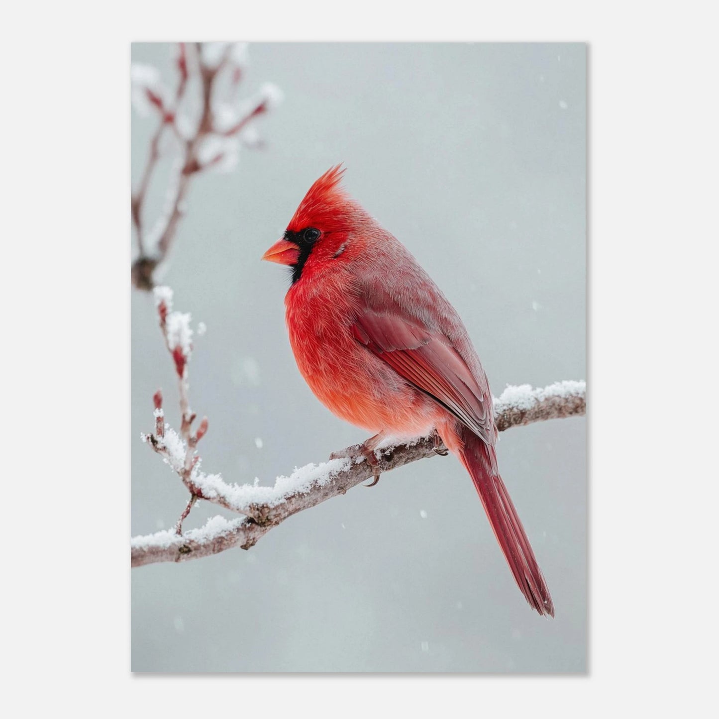 eaa3ba1c-f0ee-4c8d-92df-4cb50db3bb61