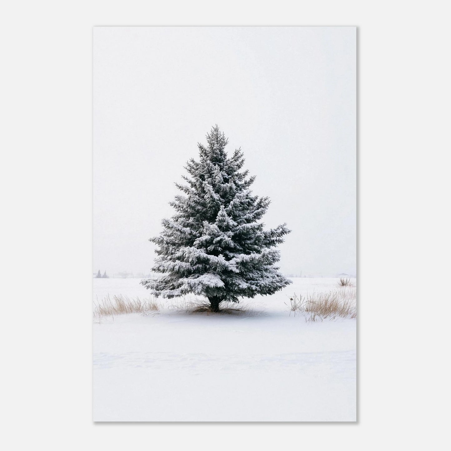 fc57482d-666e-43a1-a987-7c8df5dac770