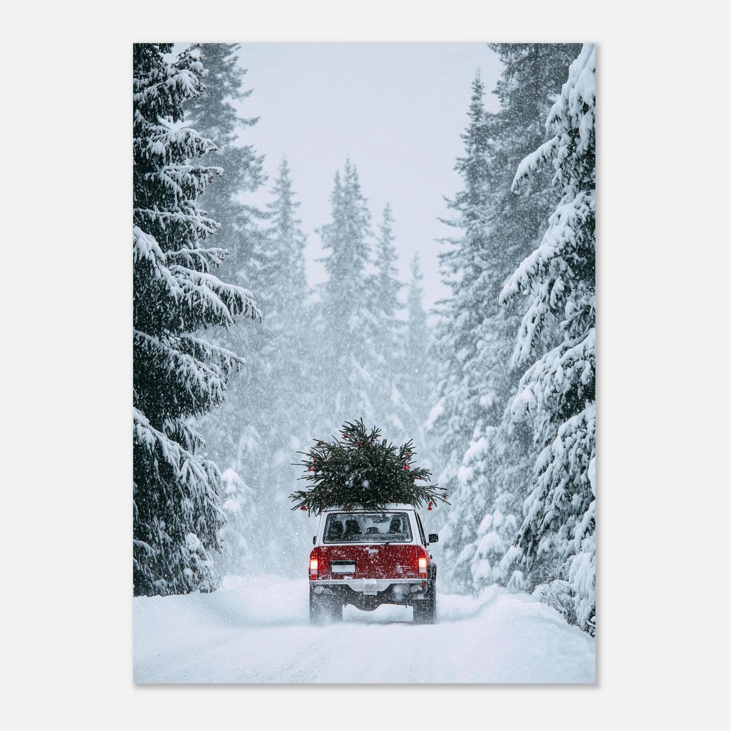 fdaba35a-236f-4cca-86fe-5a7f6b9ee032