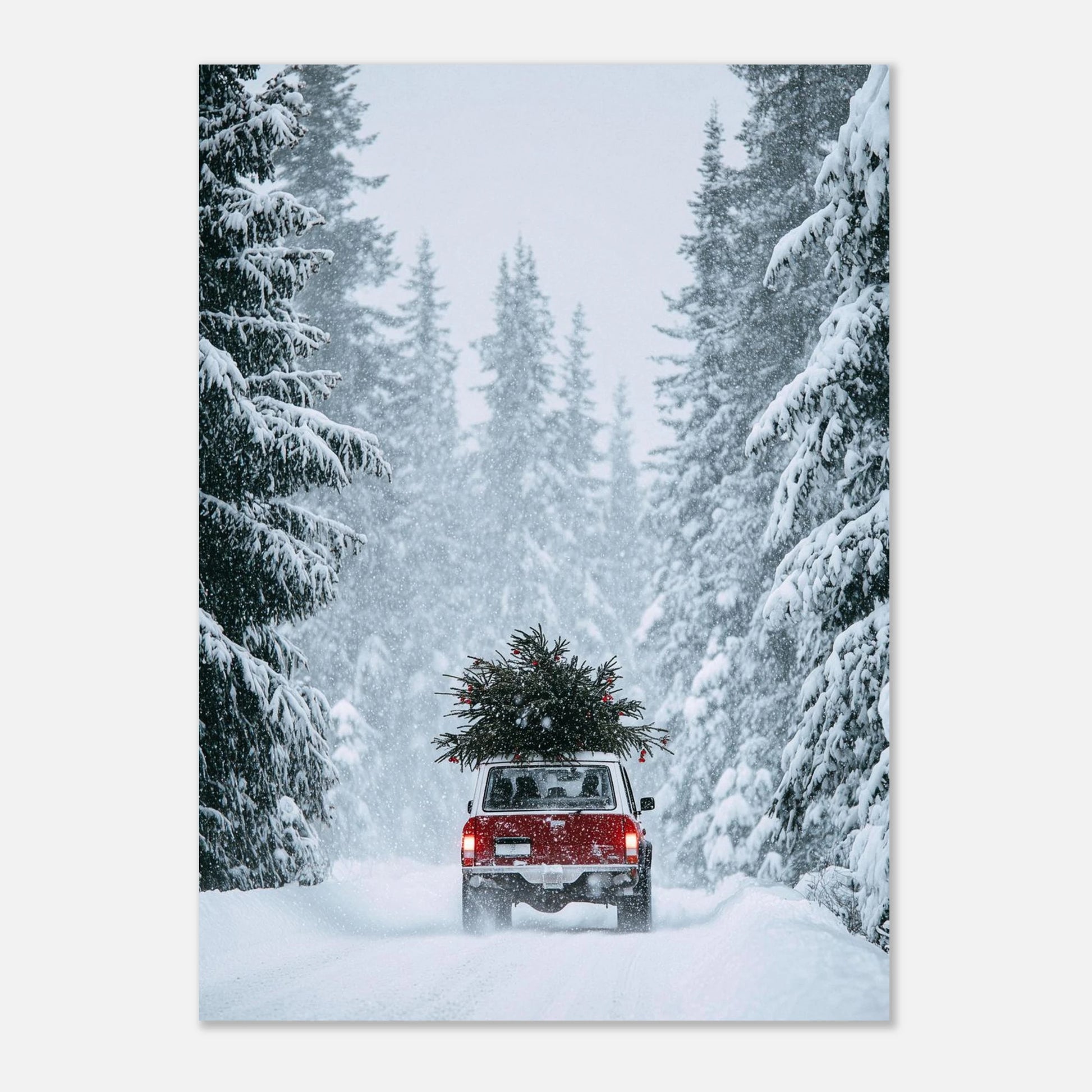 fdaba35a-236f-4cca-86fe-5a7f6b9ee032