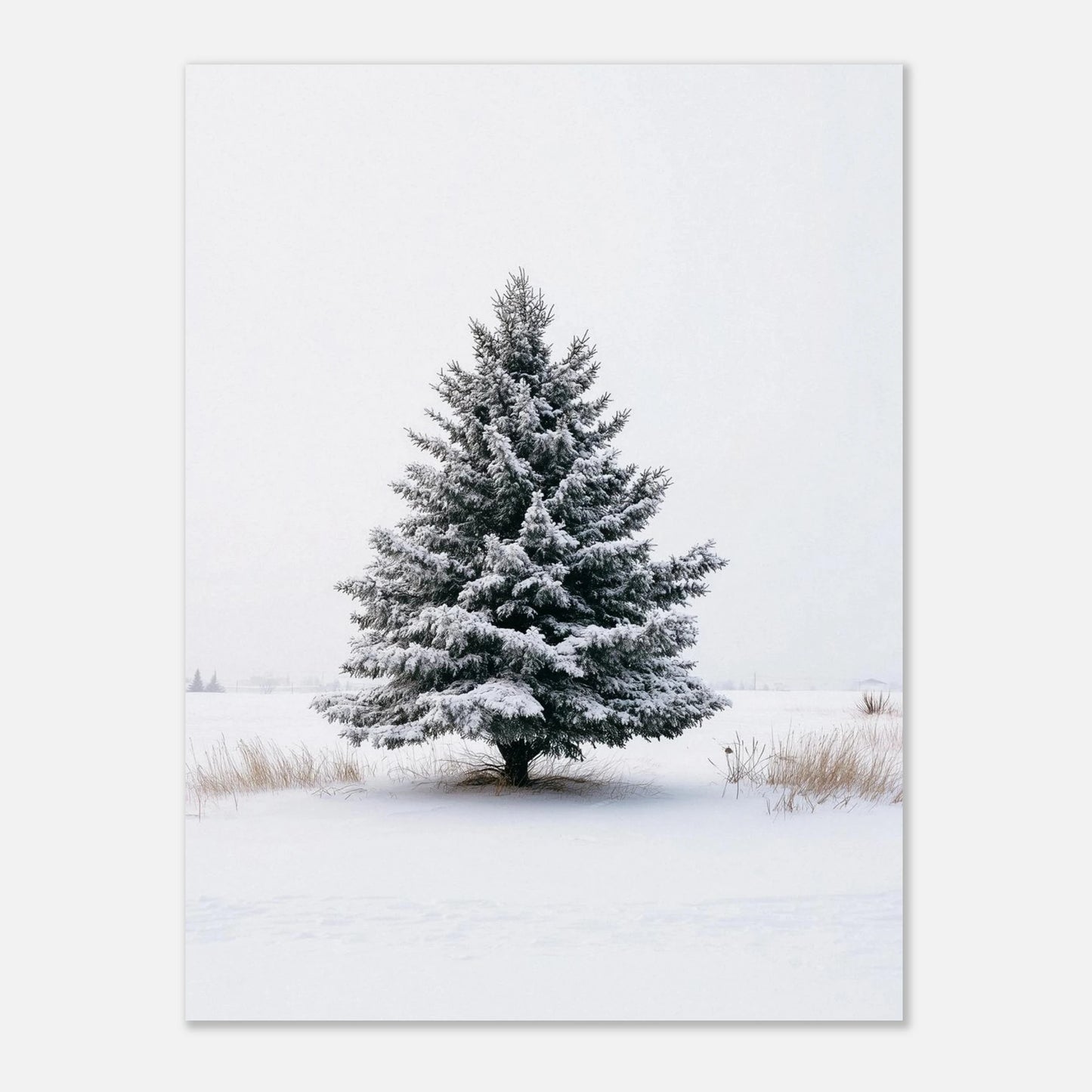 fe889dab-a17b-49d0-93fc-ee80b518d391